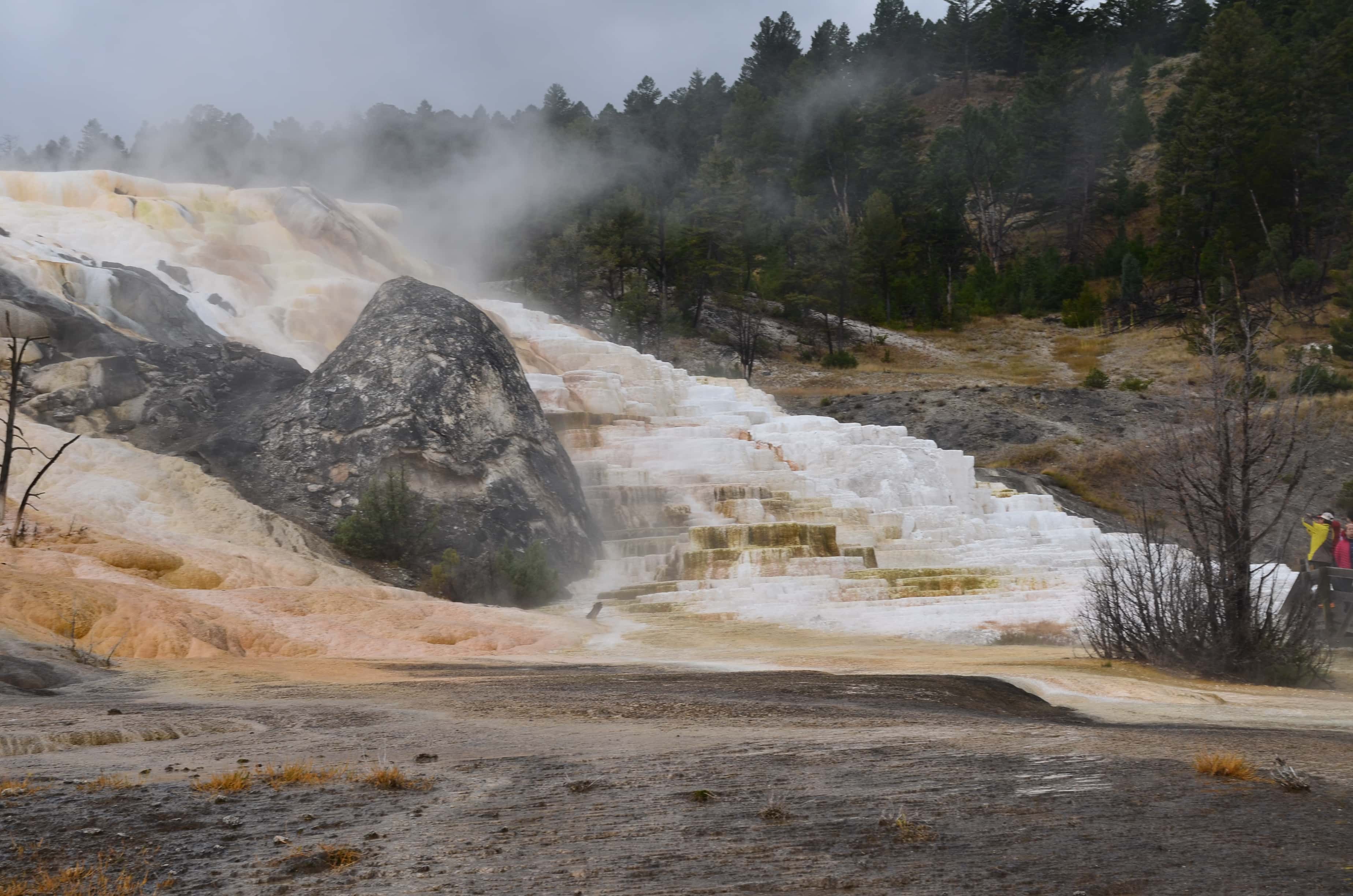 Palette Spring at Mammoth Hot Springs in Yellowstone National Park, Wyoming