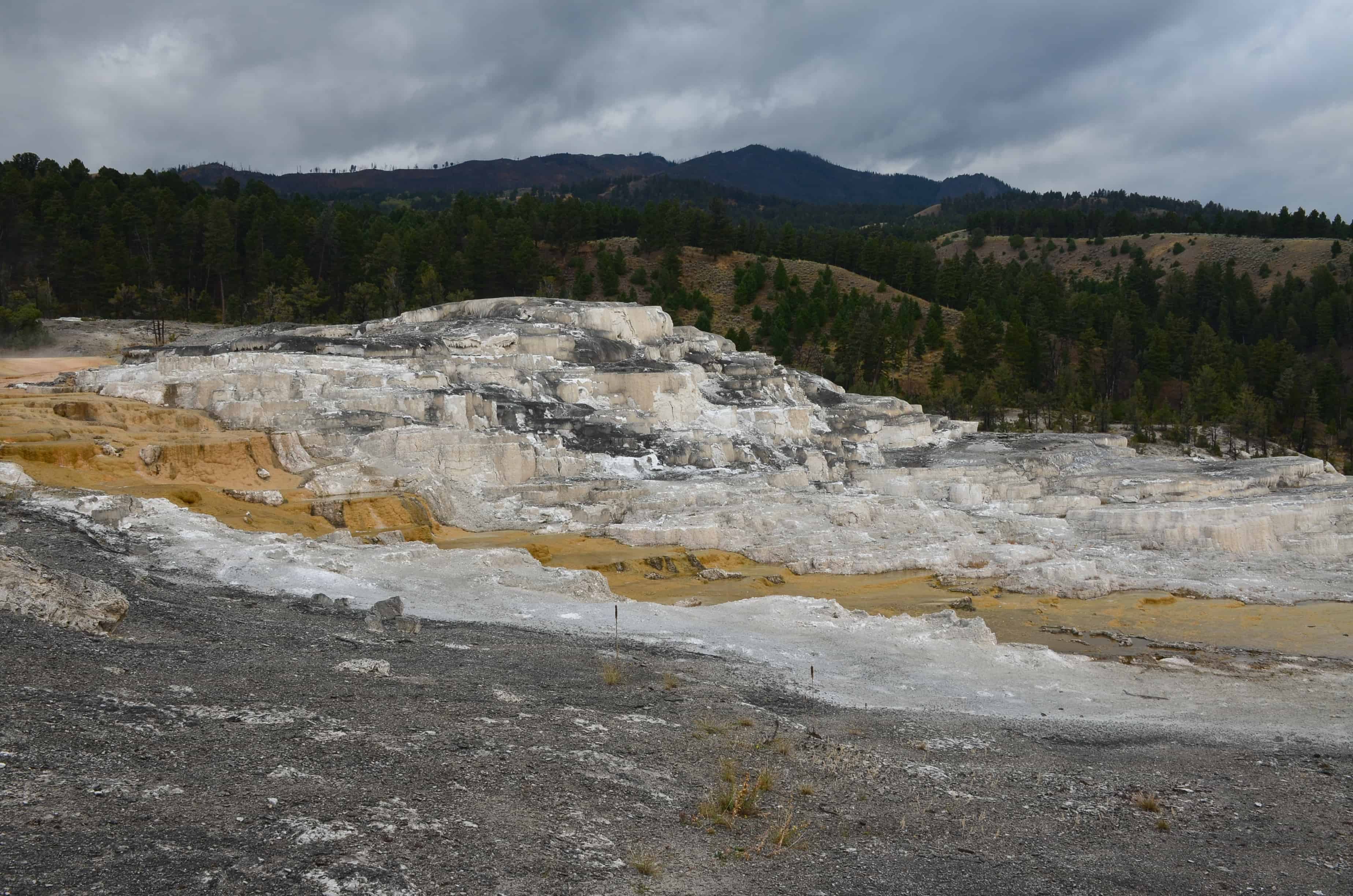 Minerva Terrace at Mammoth Hot Springs in Yellowstone National Park, Wyoming