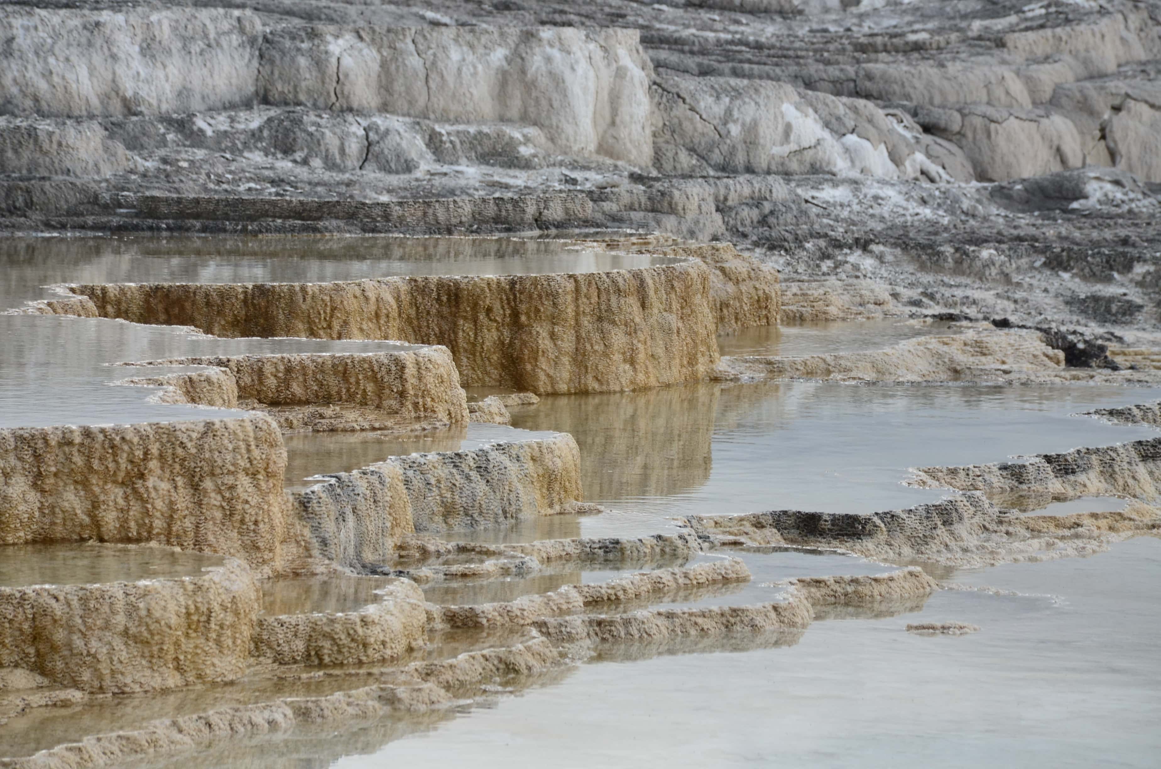 Main Terrace at Mammoth Hot Springs in Yellowstone National Park, Wyoming