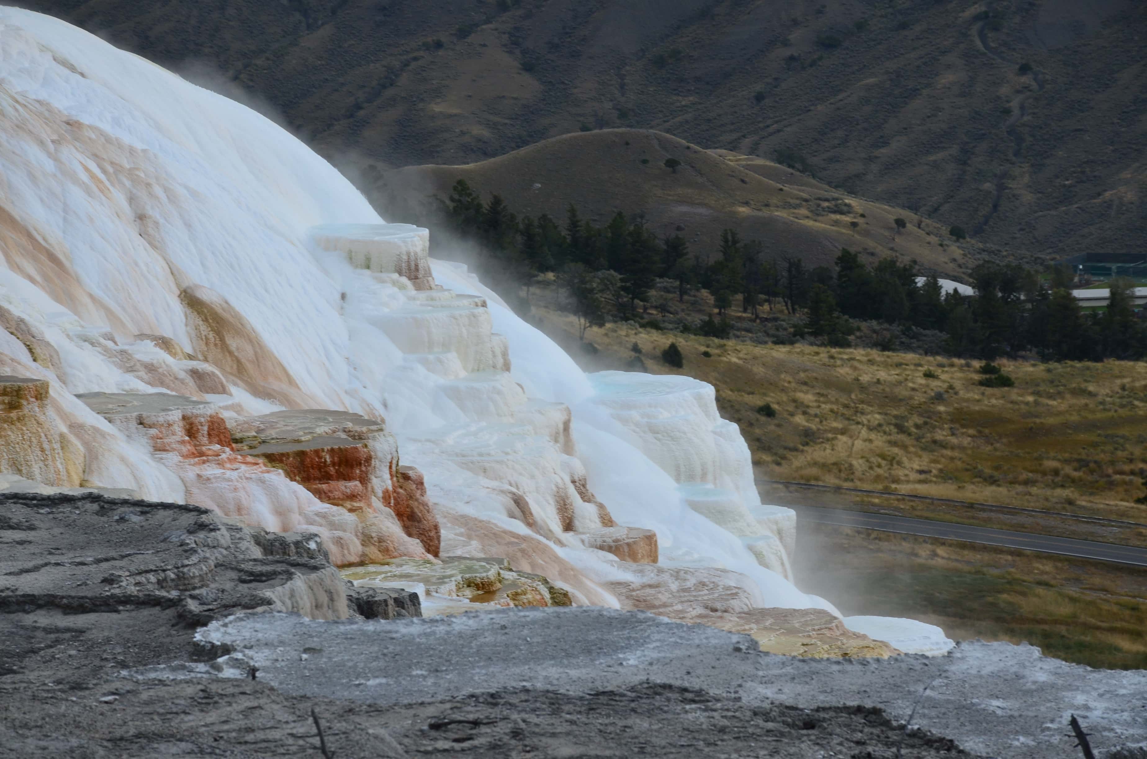 Canary Spring at Mammoth Hot Springs in Yellowstone National Park, Wyoming