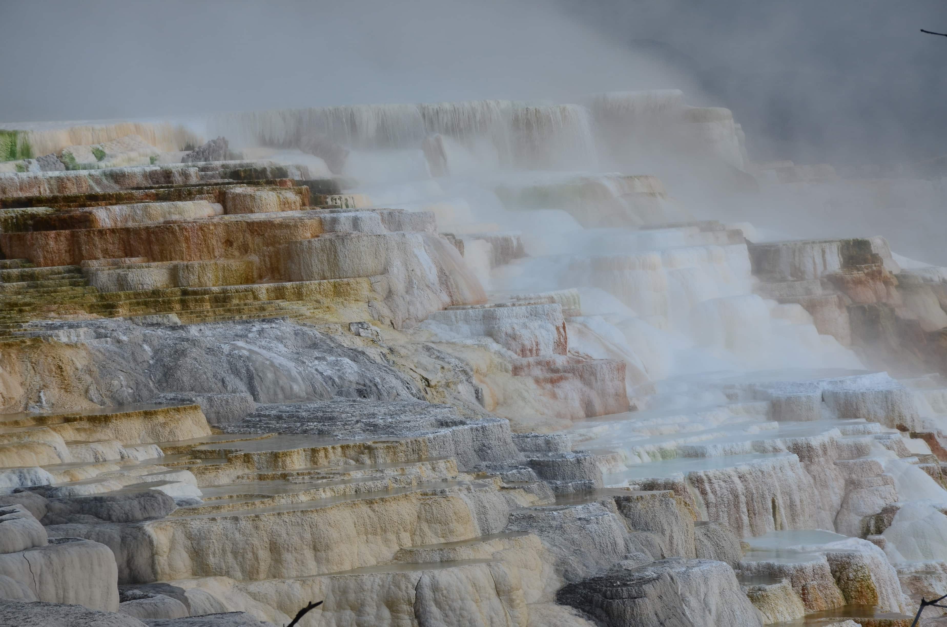 Canary Spring at Mammoth Hot Springs in Yellowstone National Park, Wyoming