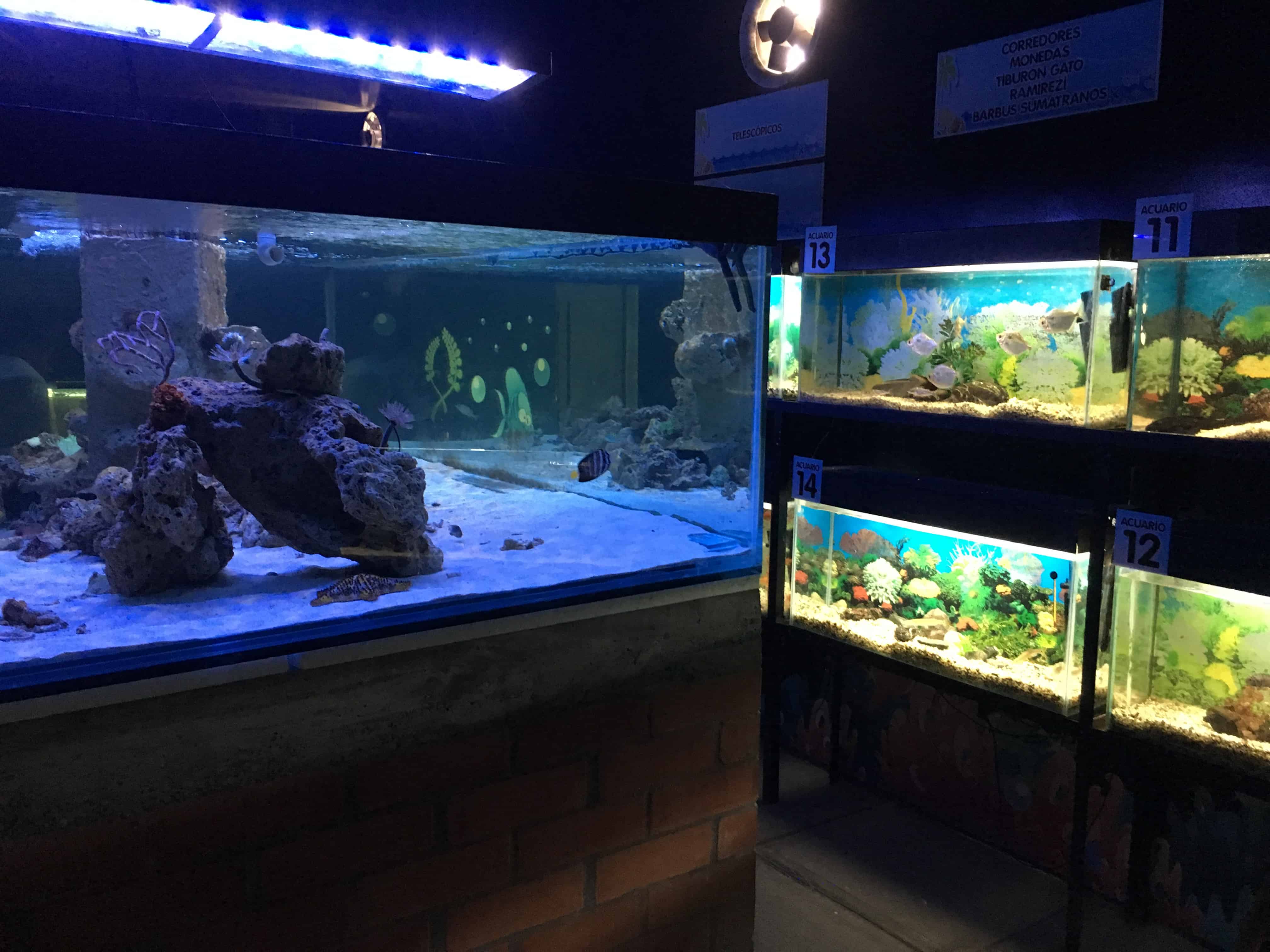 Aquarium at Noah's Farm at Parque Consotá in Galicia, Risaralda, Colombia