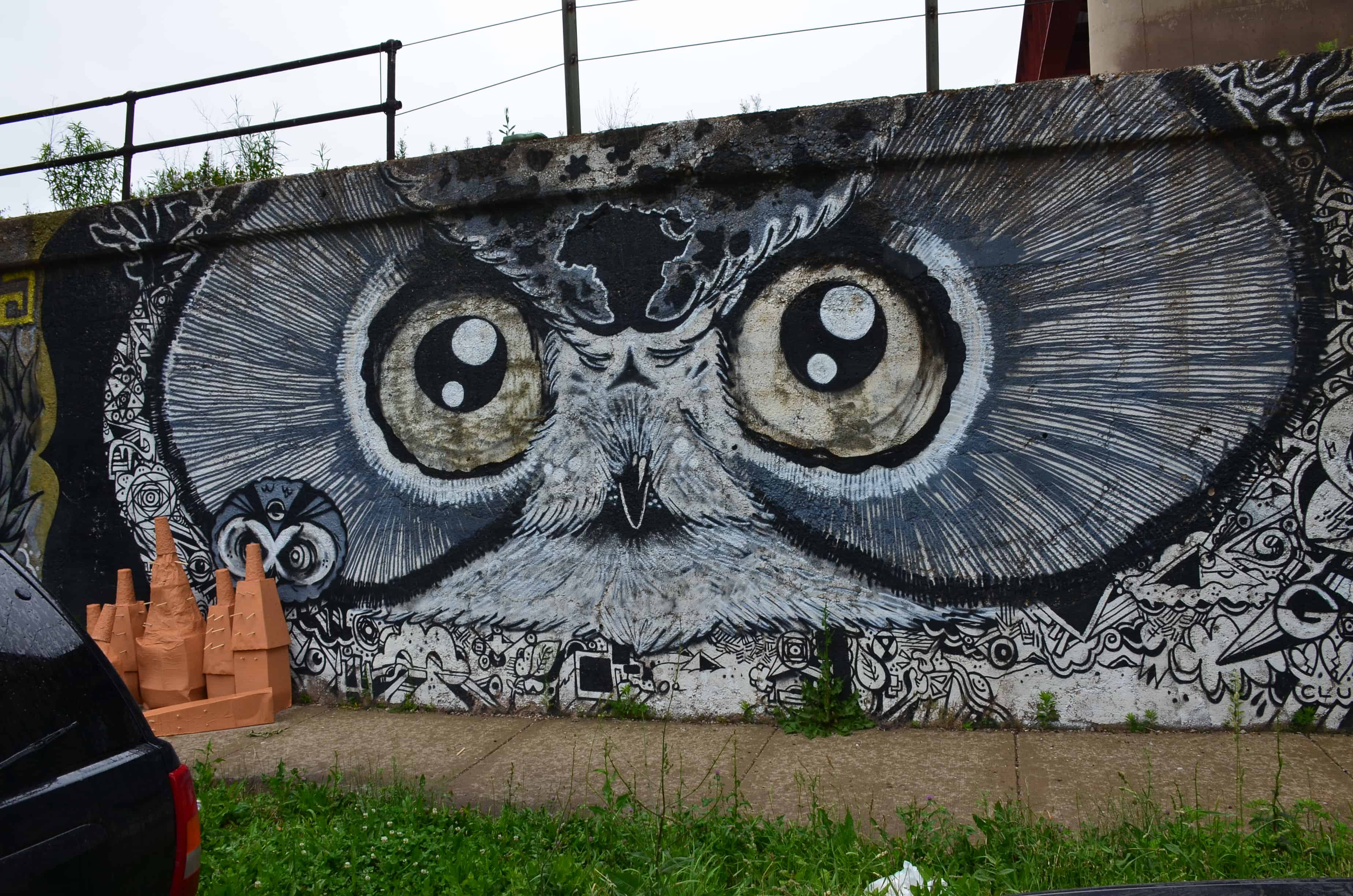 Owl mural between Paulina and Wood in Pilsen, Chicago, Illinois