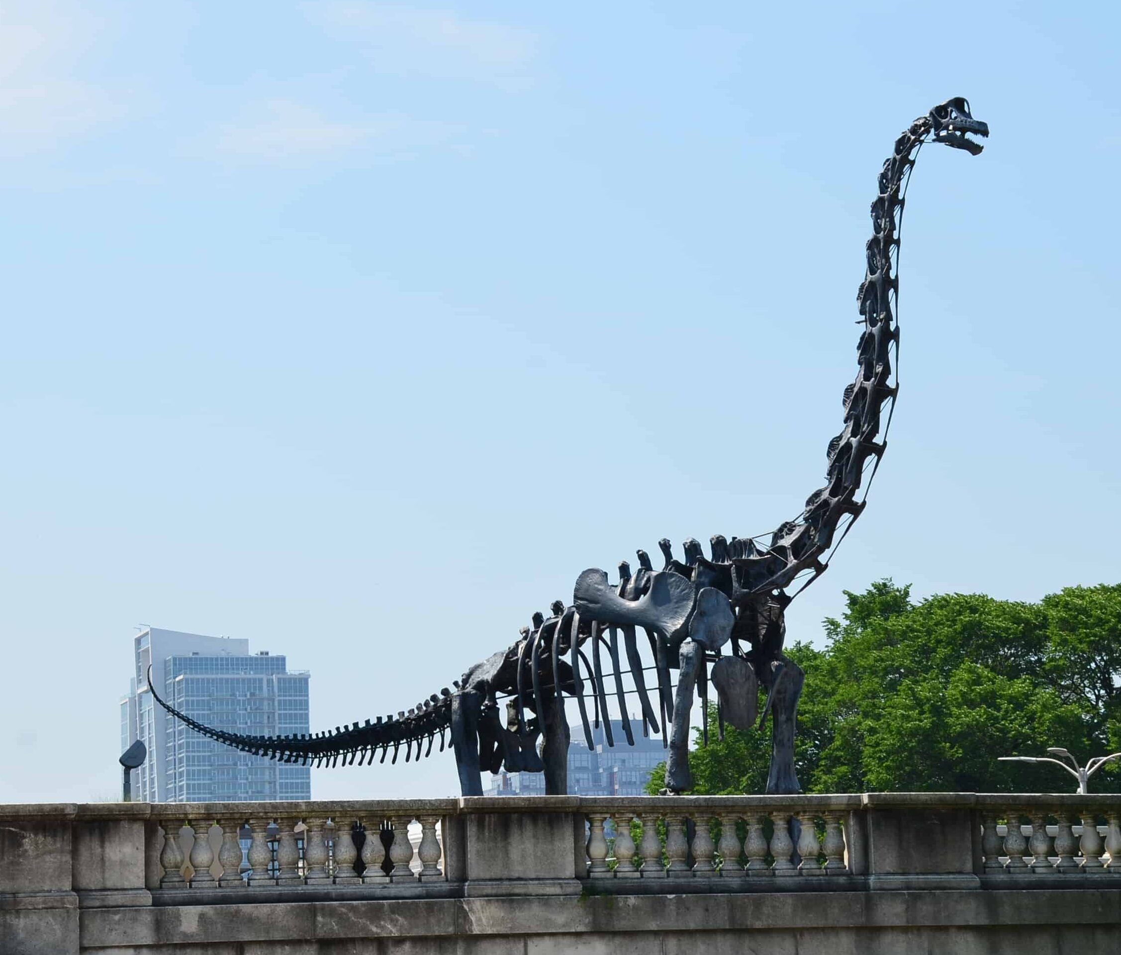 Brachiosaurus outside the Field Museum at Museum Campus in Chicago, Illinois