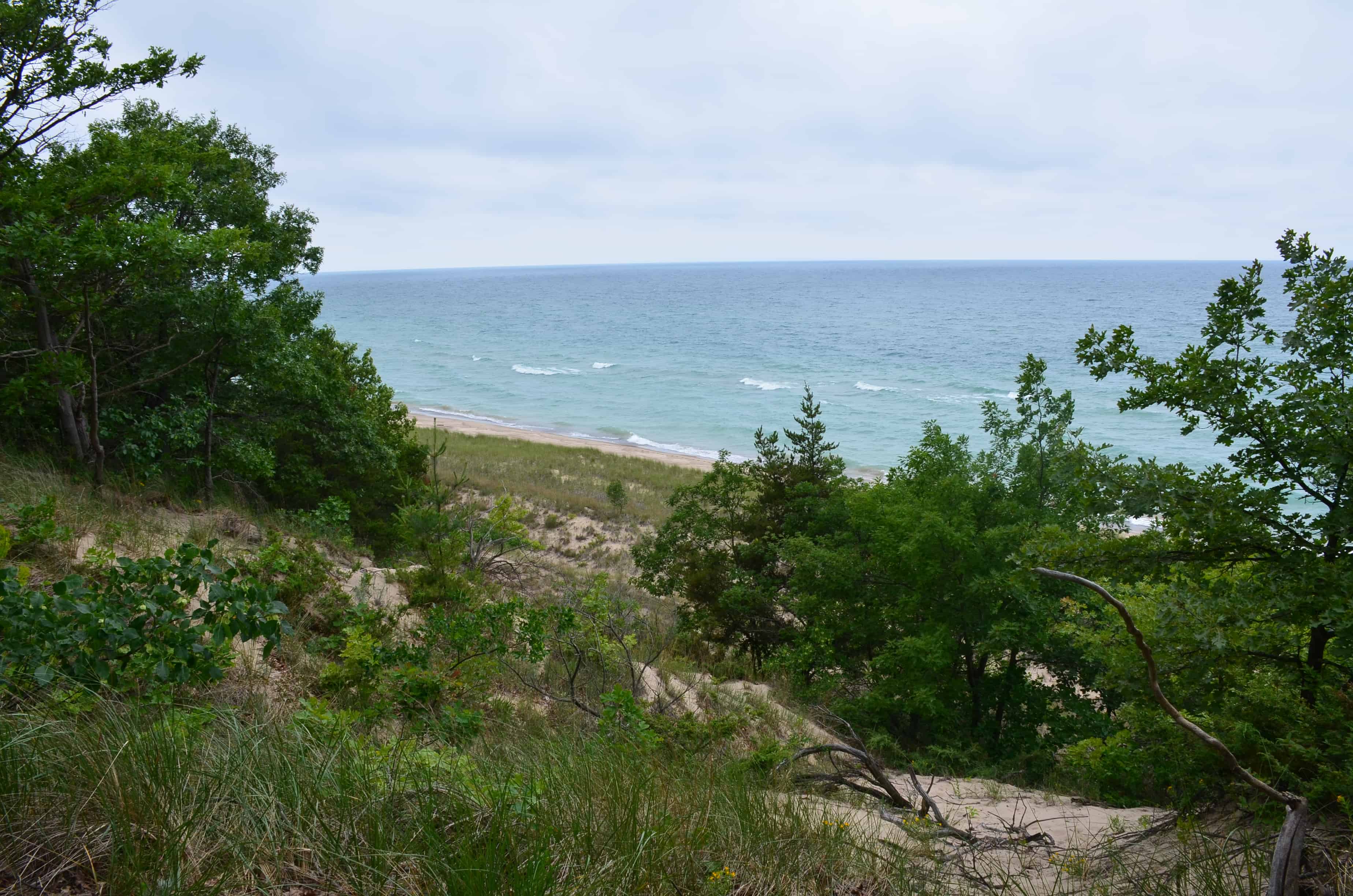 Trail #9 at Indiana Dunes State Park