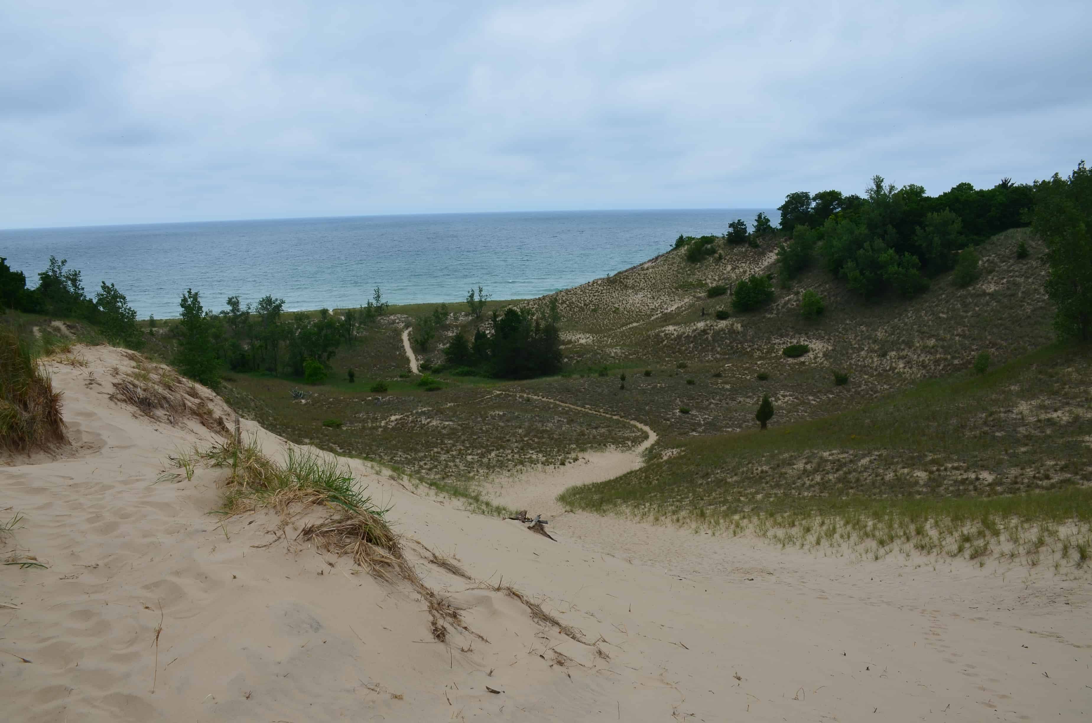 Beach House Blowout on Trail #9 at Indiana Dunes State Park