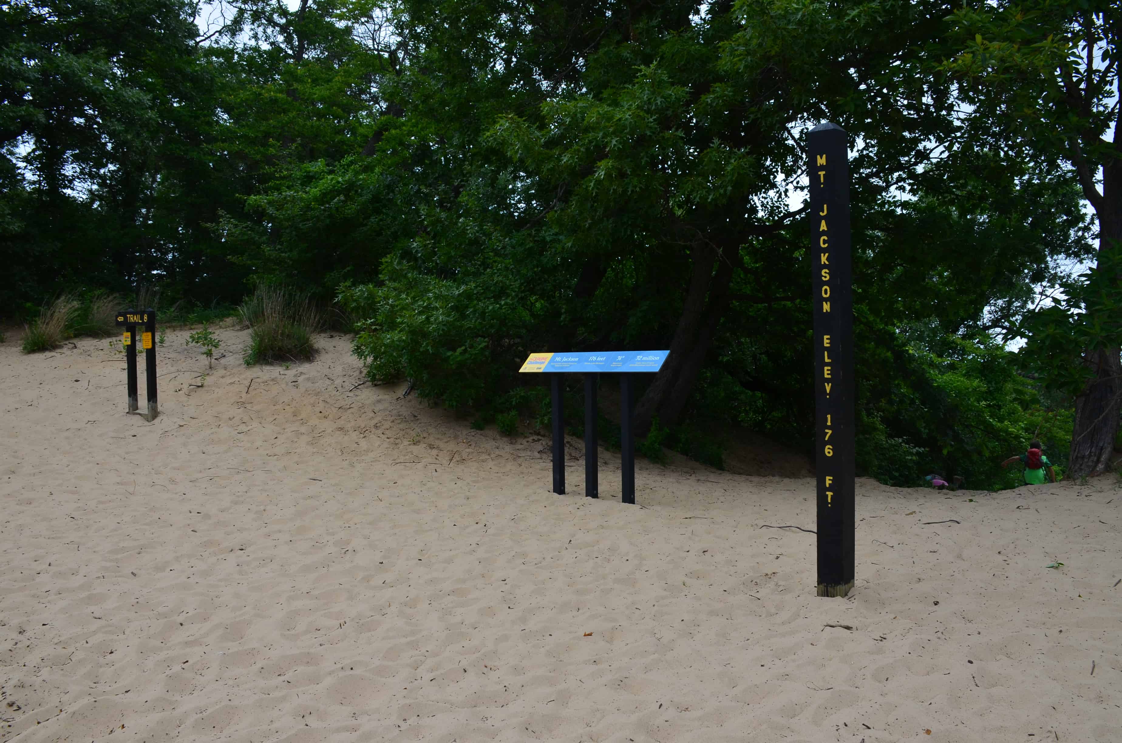 Mt. Jackson on Trail #8 at Indiana Dunes State Park
