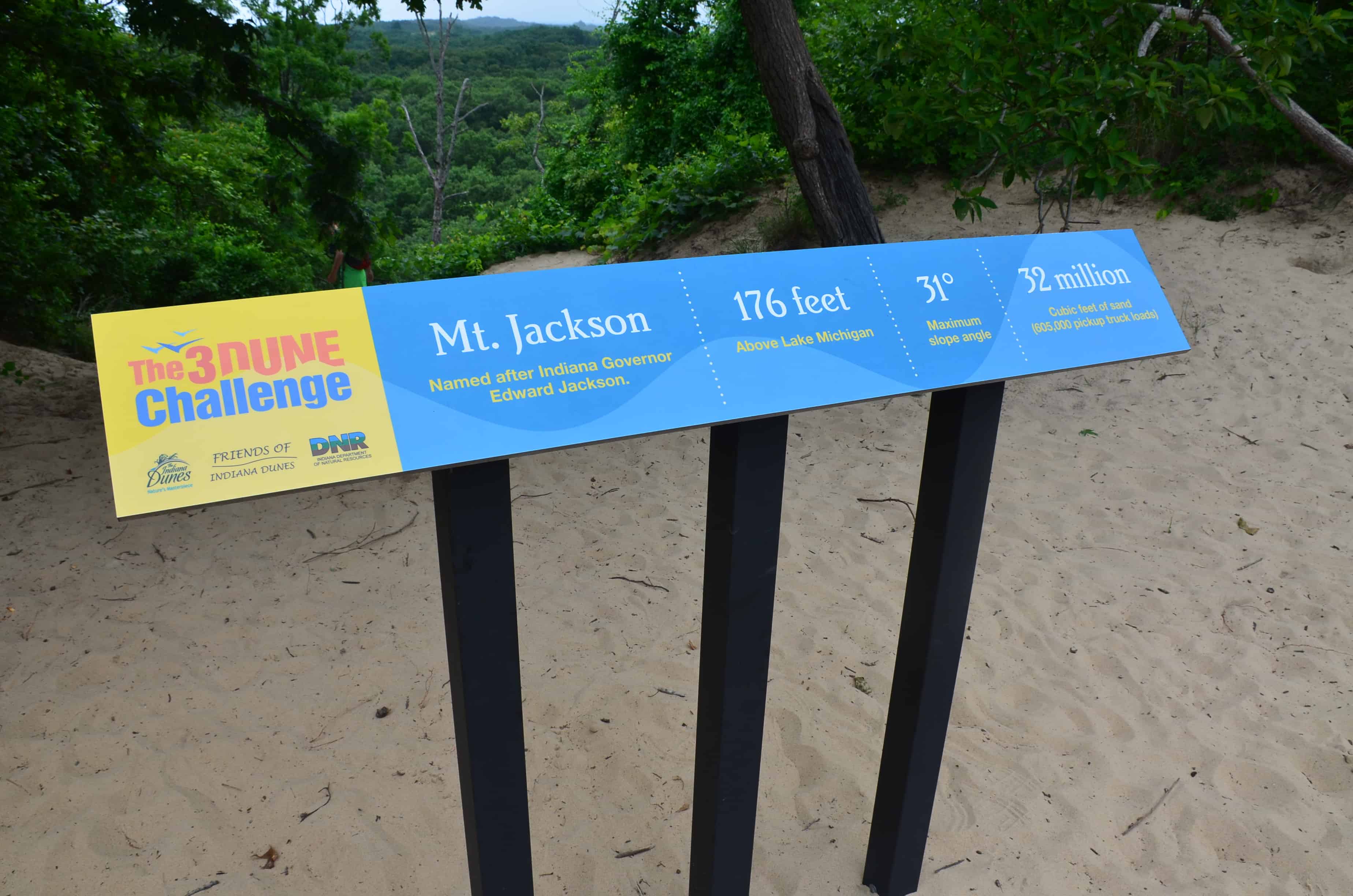 Mt. Jackson on Trail #8 at Indiana Dunes State Park