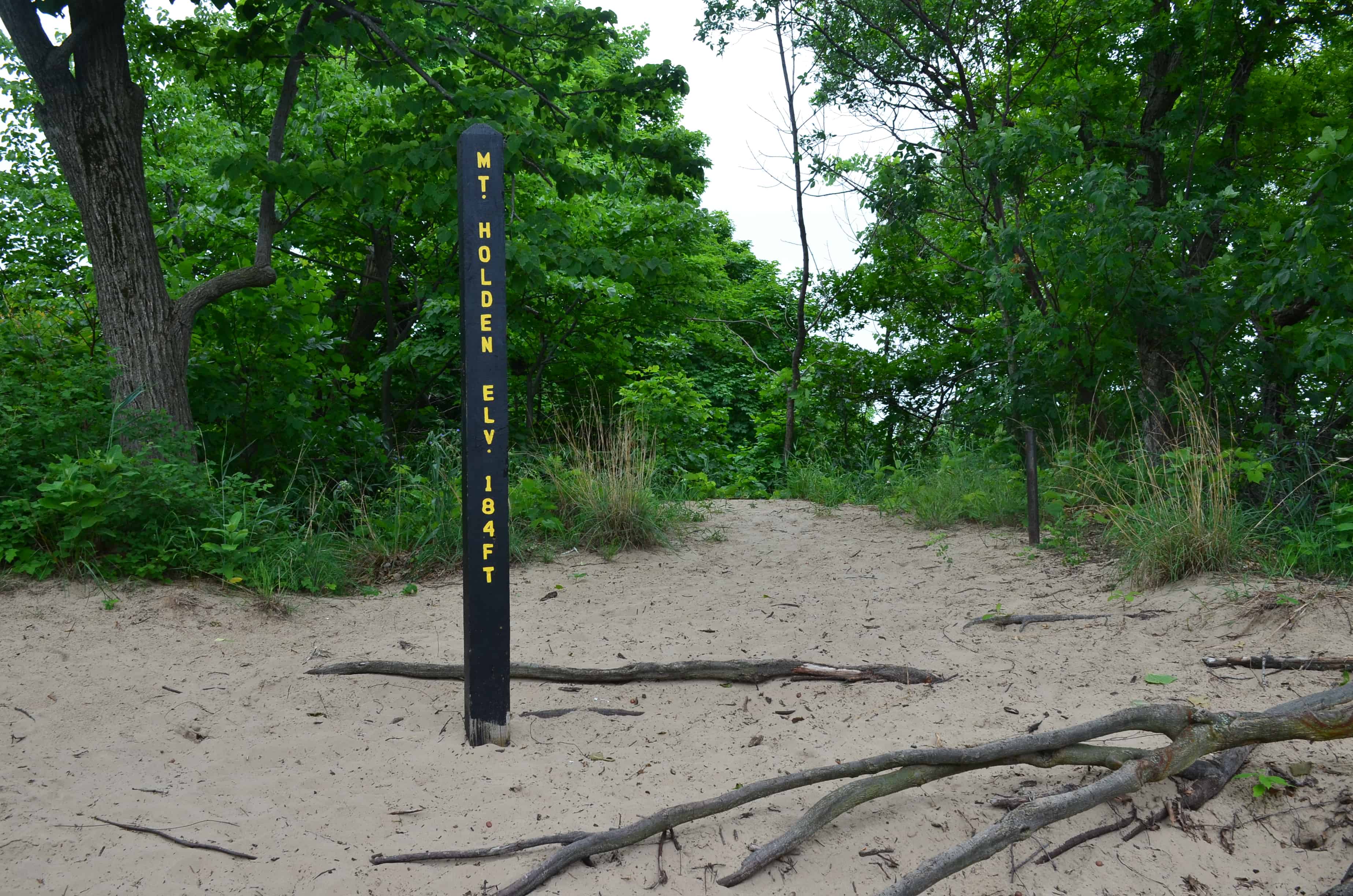 Mt. Holden on Trail #8 at Indiana Dunes State Park