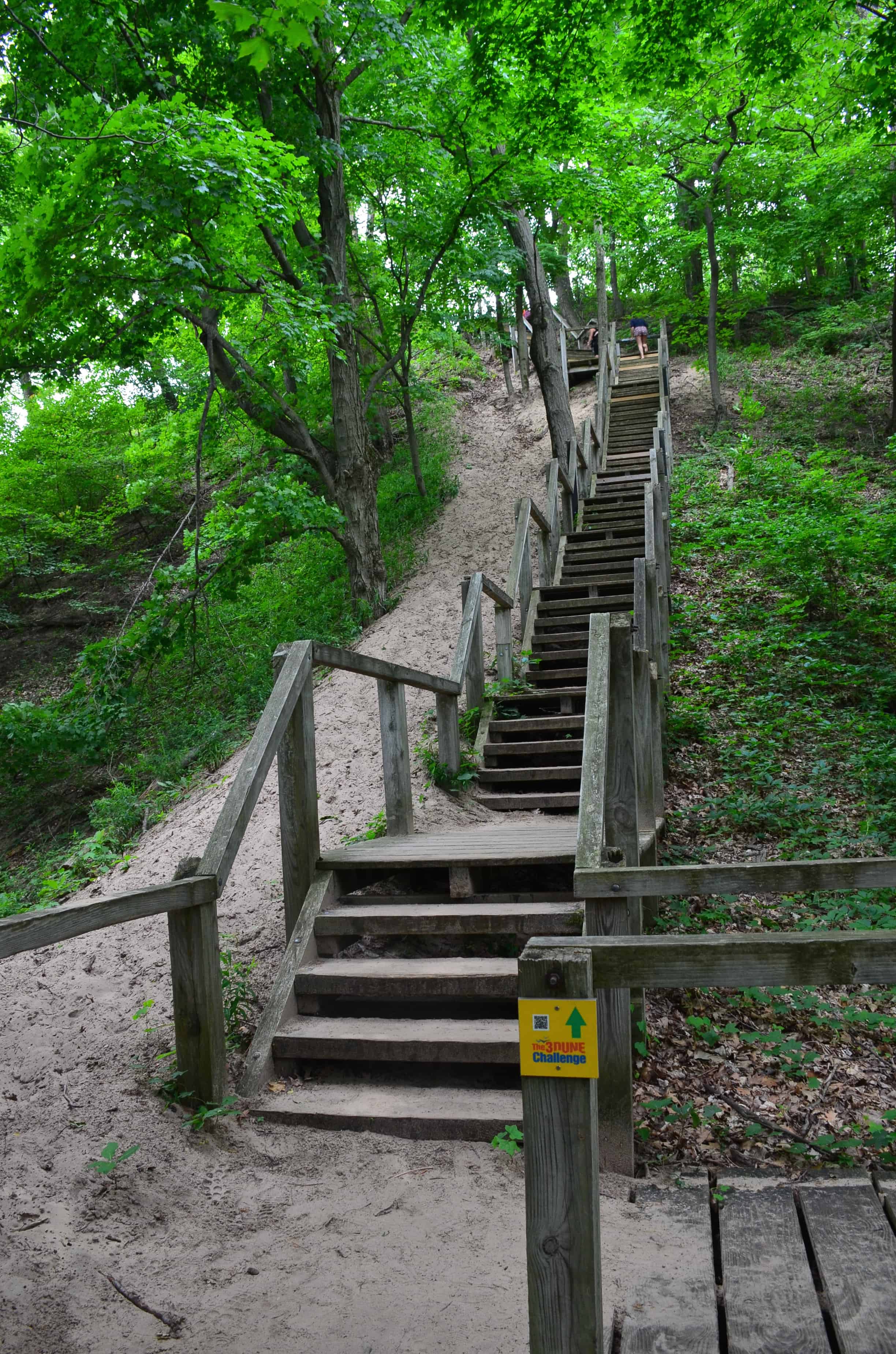 Trail #8 at Indiana Dunes State Park
