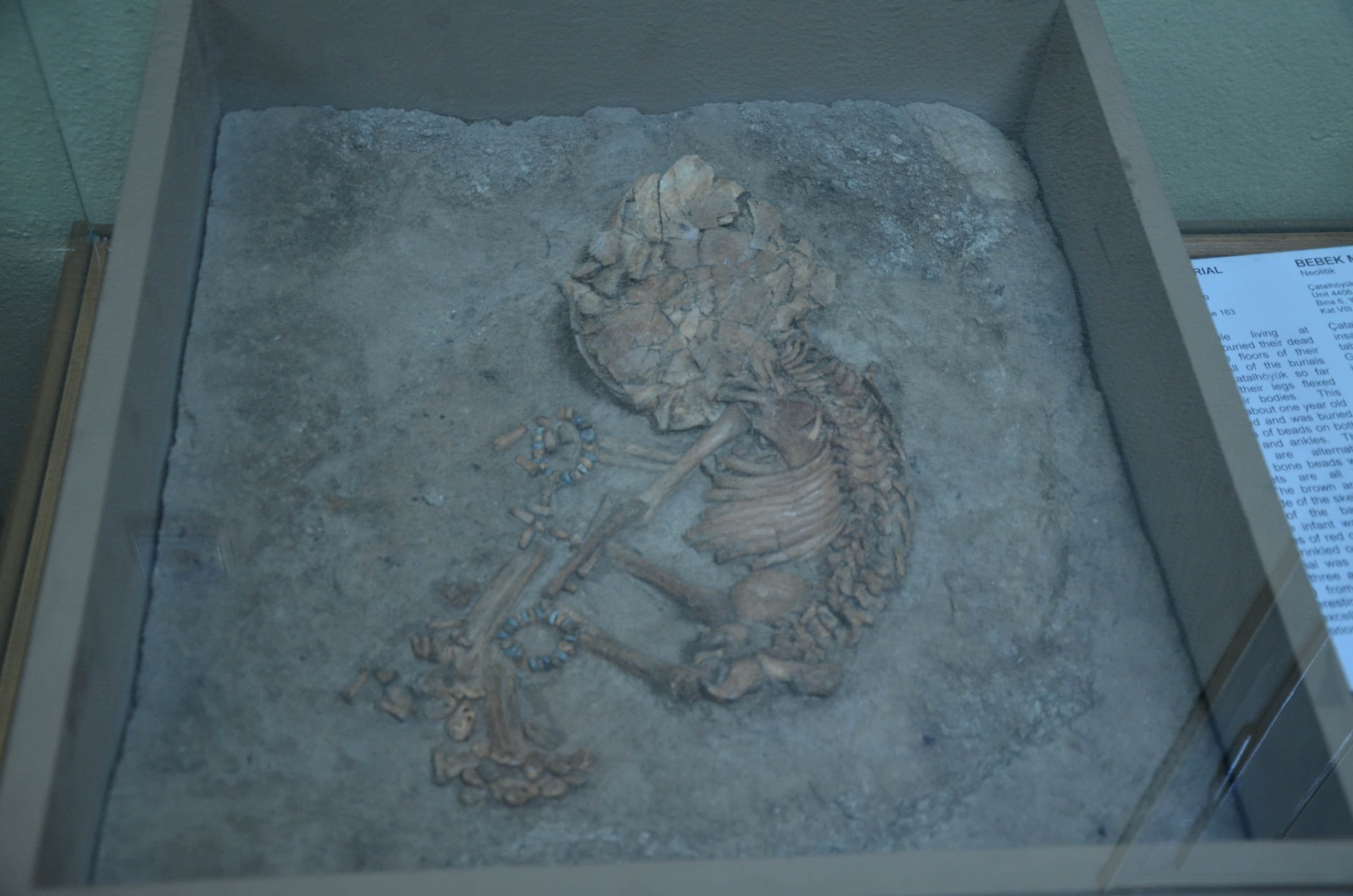 Baby skeleton at Konya Arkeoloji Müzesi in Konya, Turkey