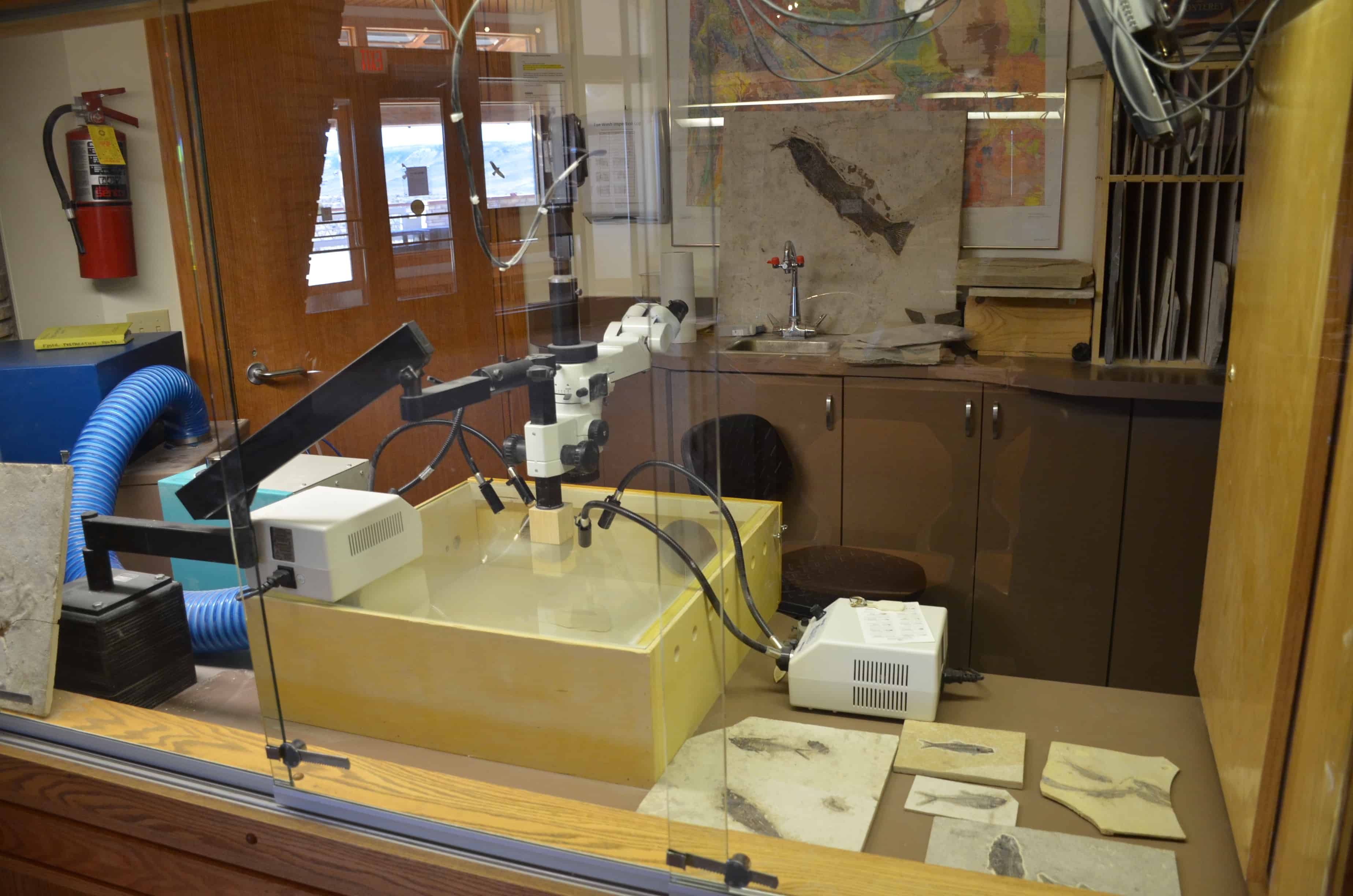 Lab in the visitor center