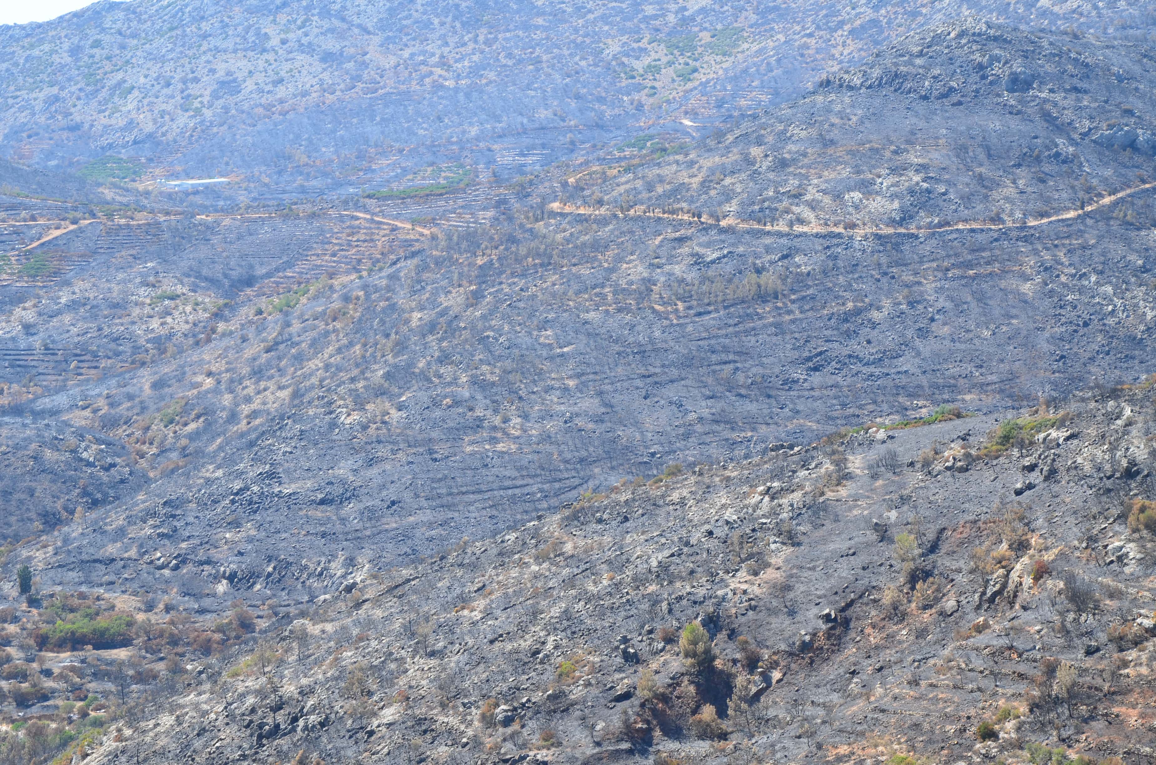 Aftermath of 2012 fires near Tholopotami, Chios, Greece