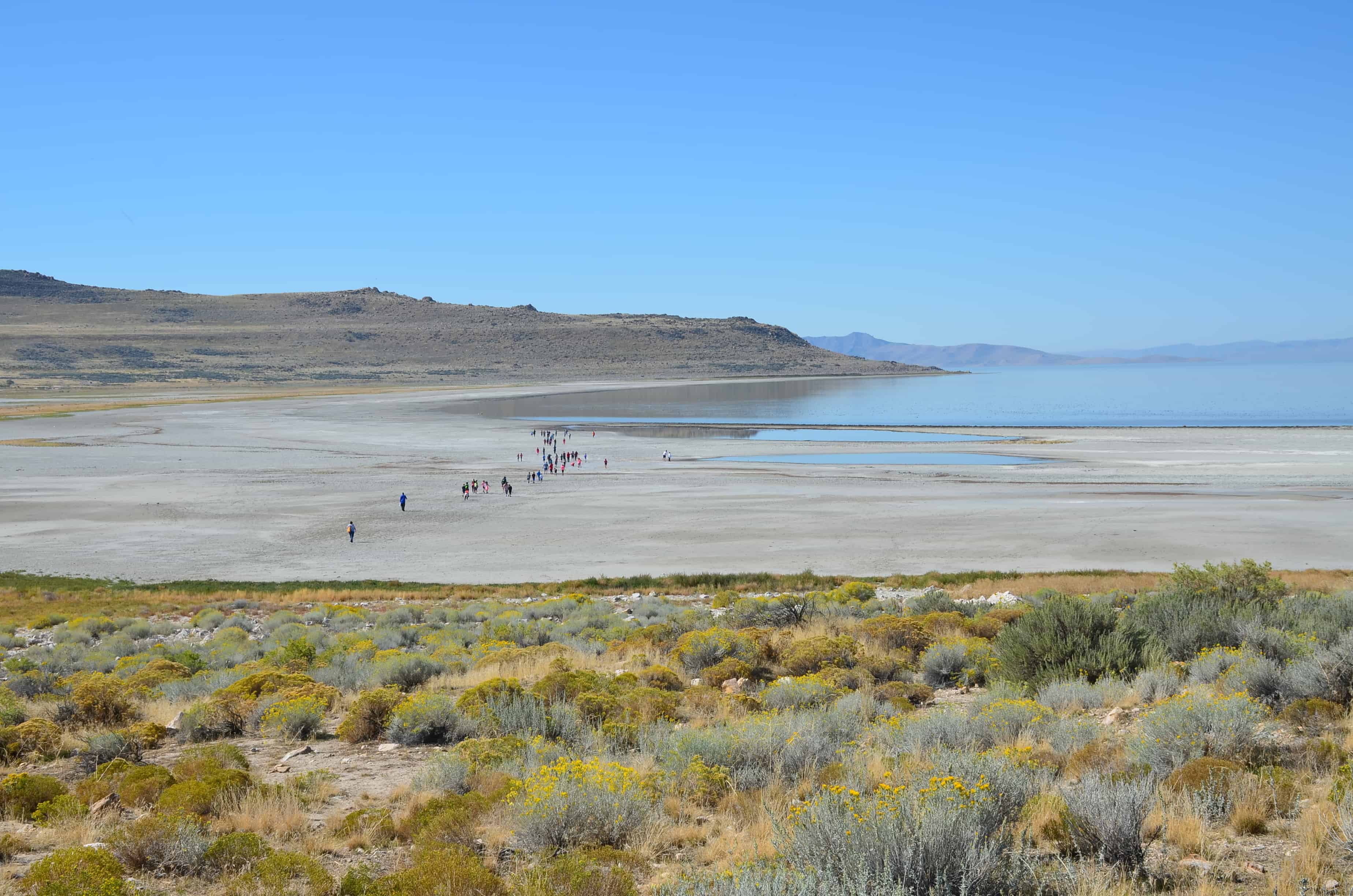 View of Bridger Bay from Lady Finger Point at Antelope Island State Park in Utah