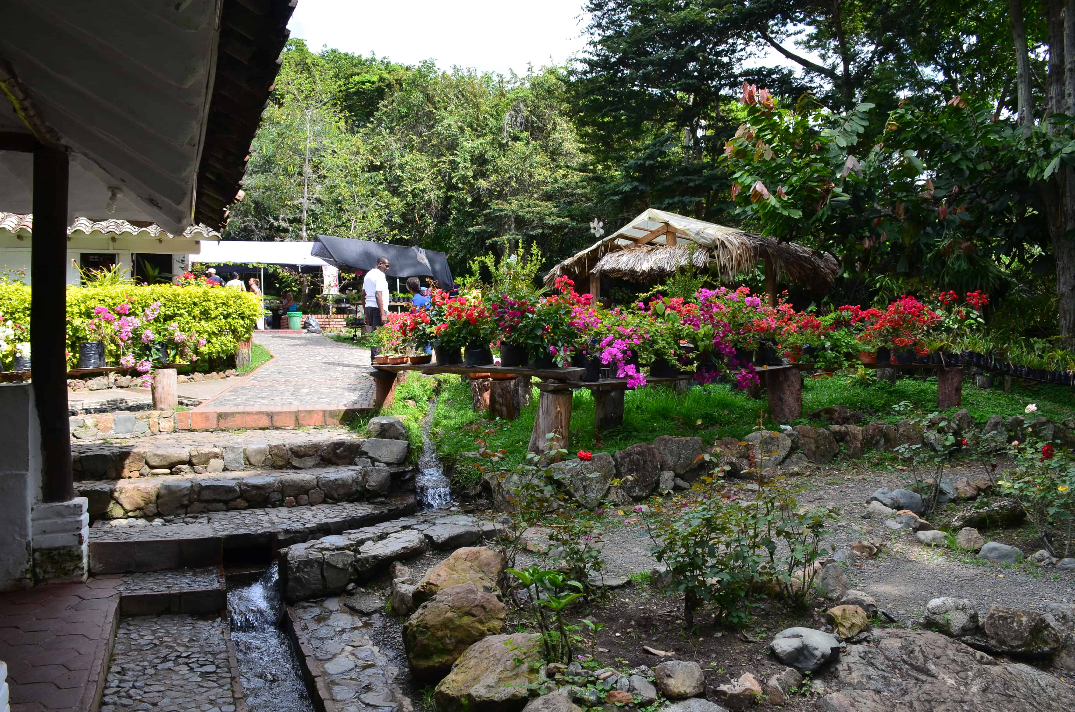 Flower garden and cafeteria at Hacienda El Paraíso in Valle del Cauca, Colombia