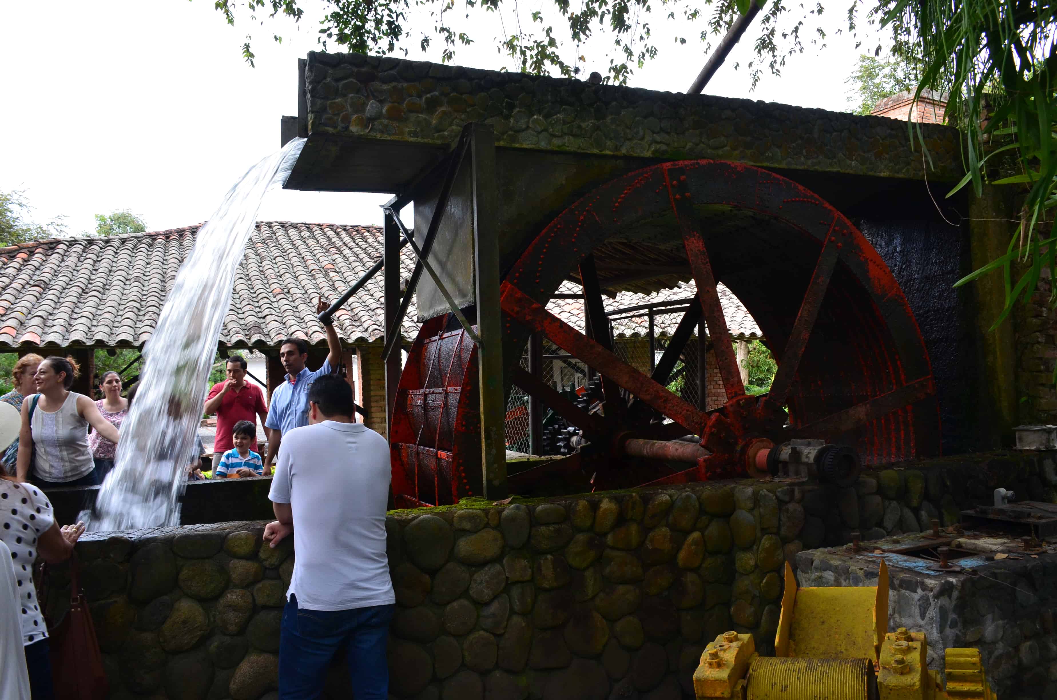 Hydraulic sugarcane press