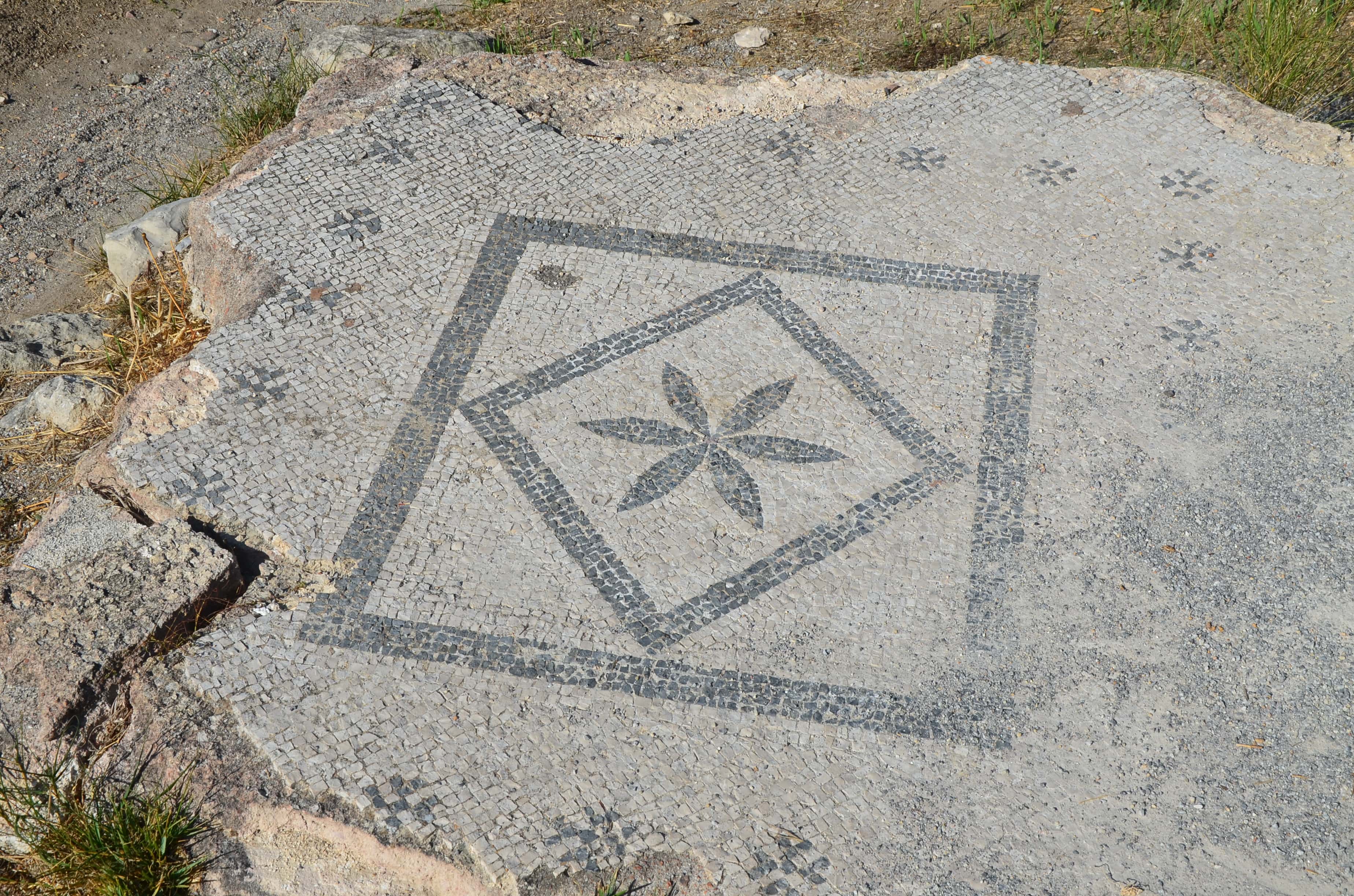 Mosaic in the Gymnasium in the Western Excavation Area in Kos, Greece