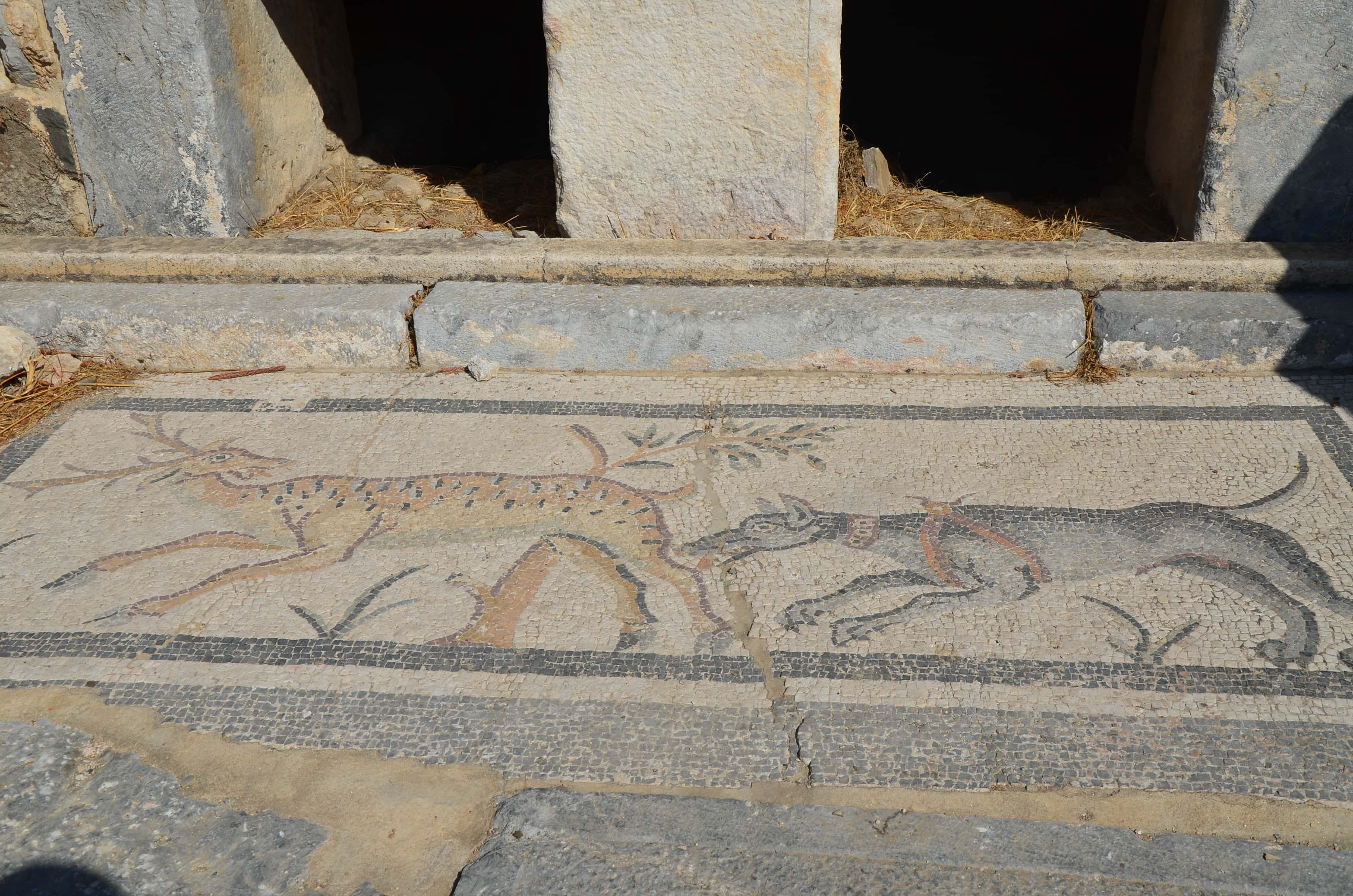 Mosaic at the Roman tombs in Bodrum, Turkey