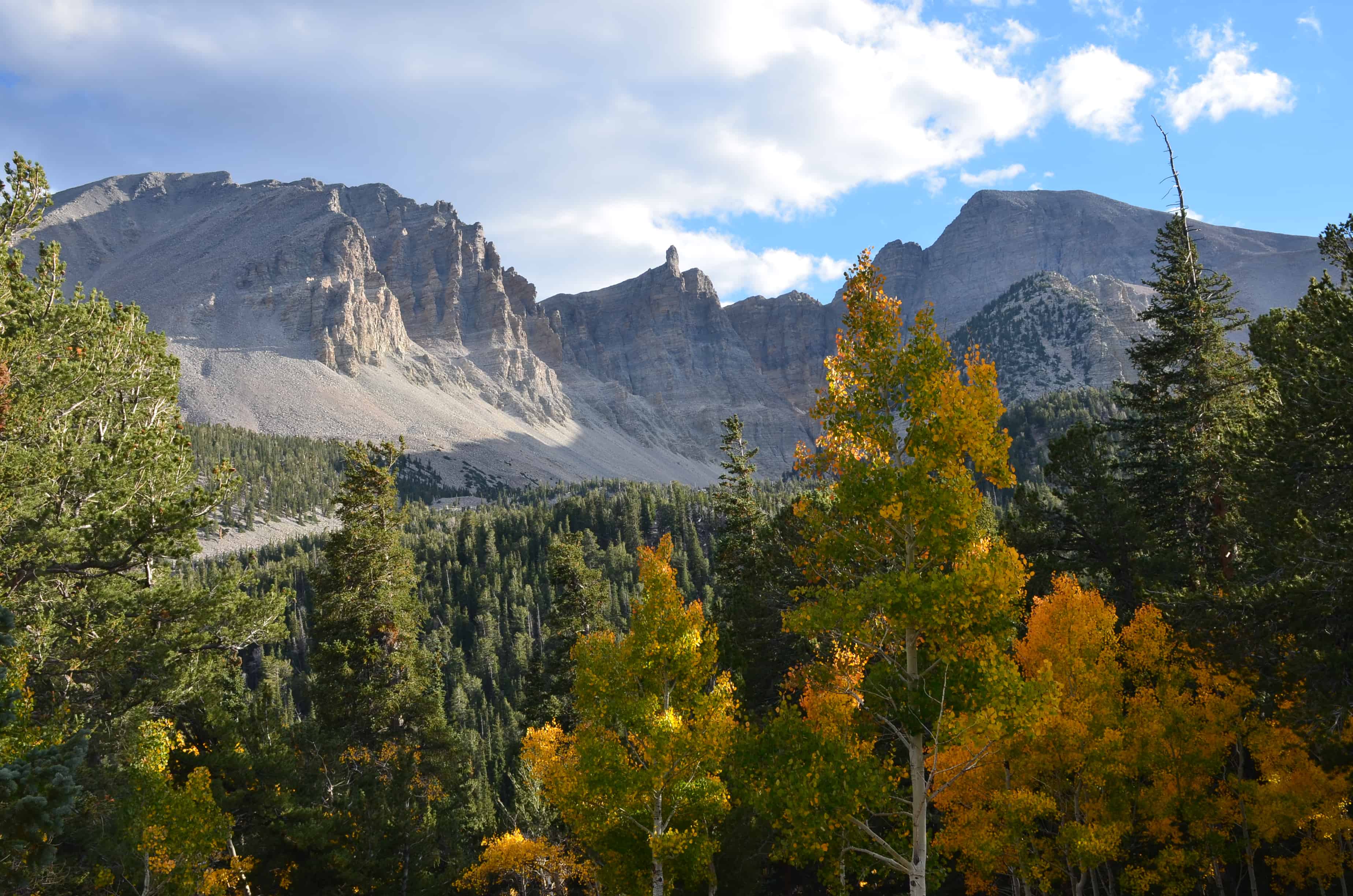 The view from Wheeler Peak Campground at Great Basin National Park in Nevada