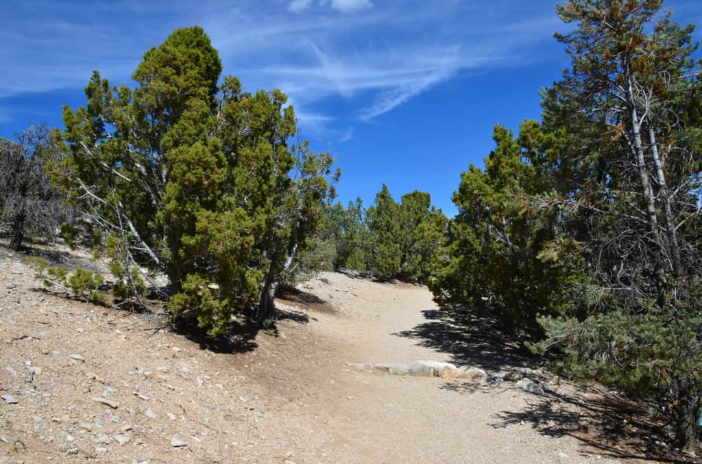 Mountain View Nature Trail at Great Basin National Park, Nevada