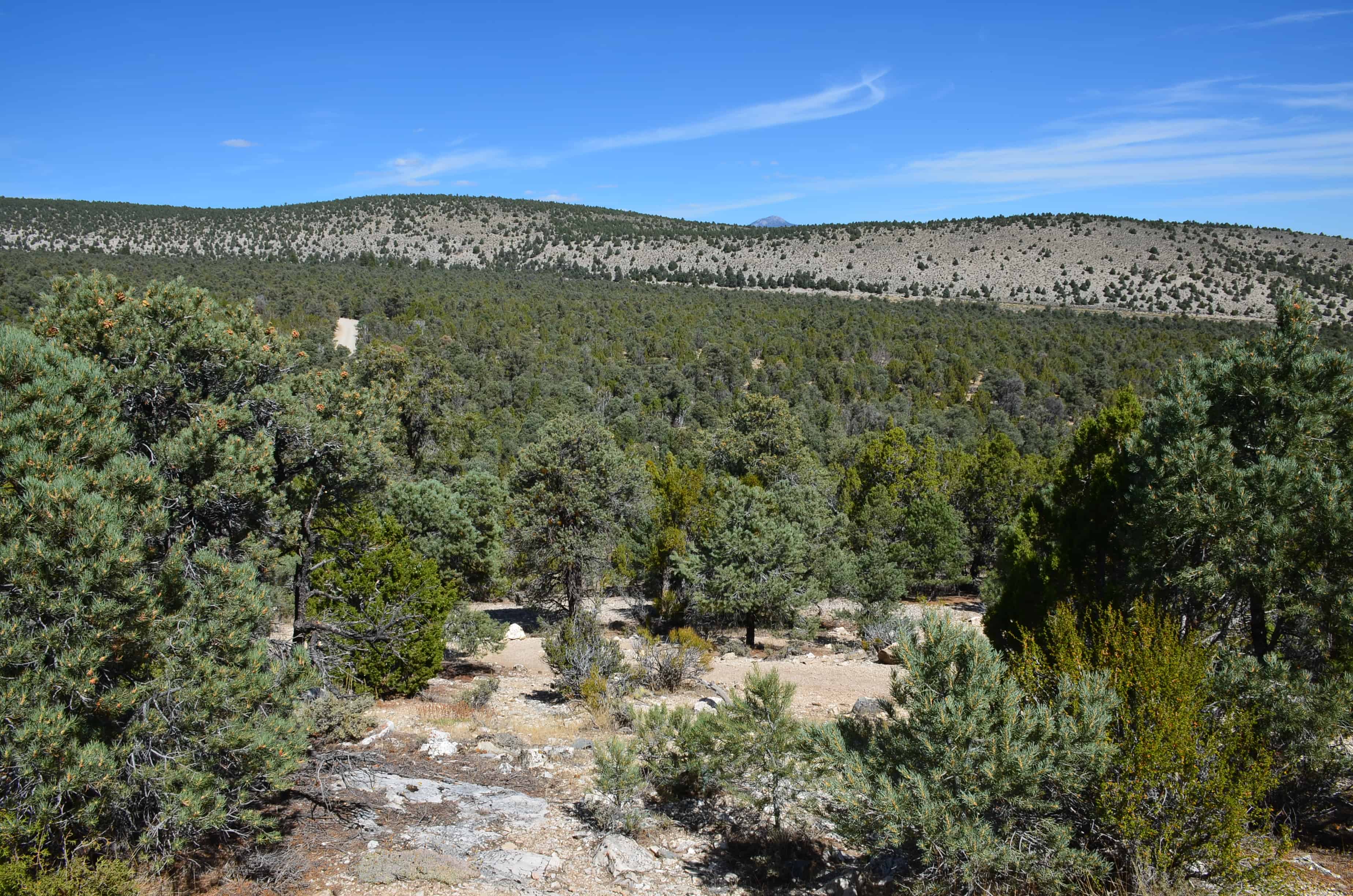 Mountain View Nature Trail at Great Basin National Park, Nevada