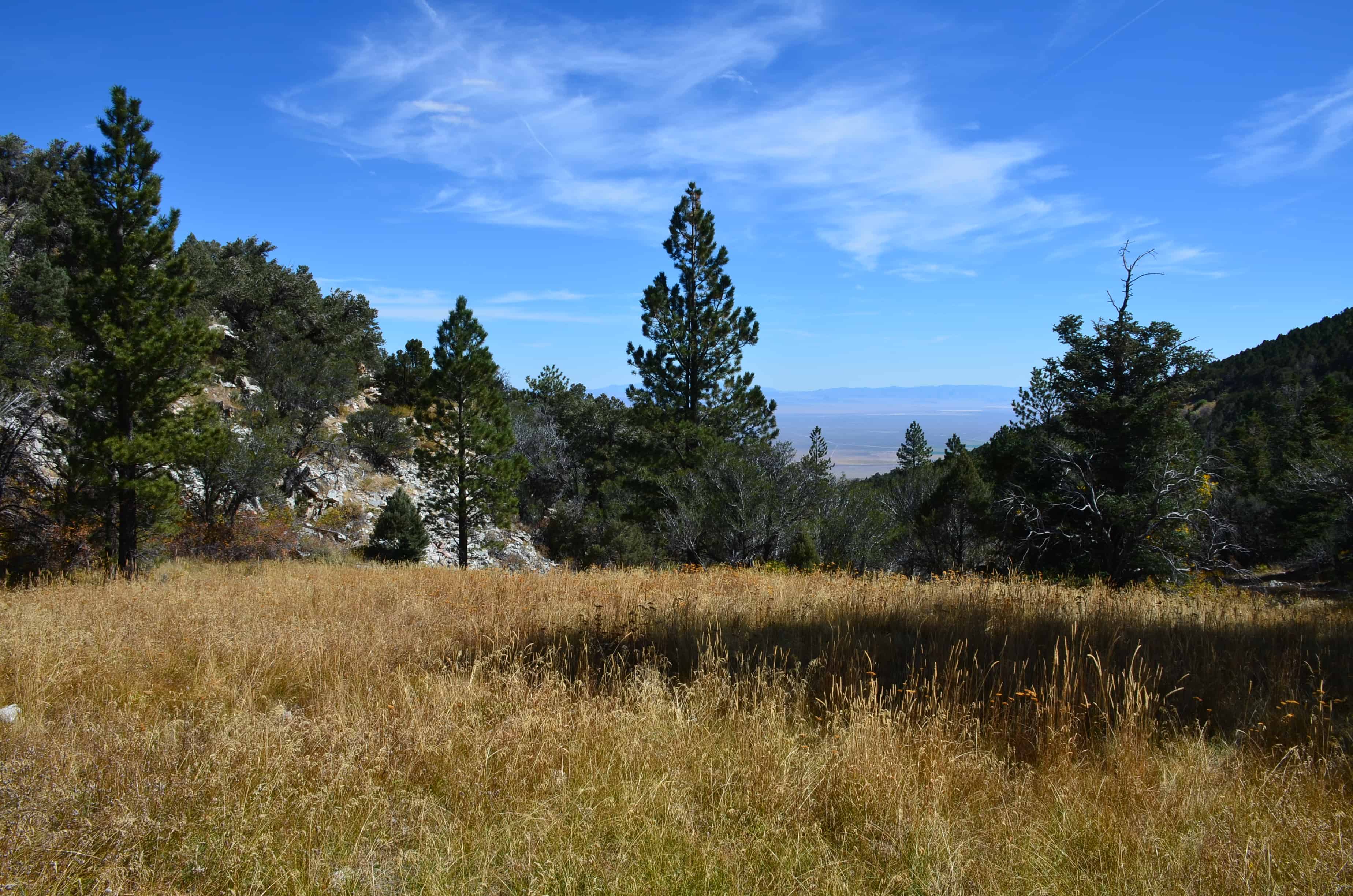 Osceola Ditch Trail on Wheeler Peak Scenic Drive in Great Basin National Park, Nevada
