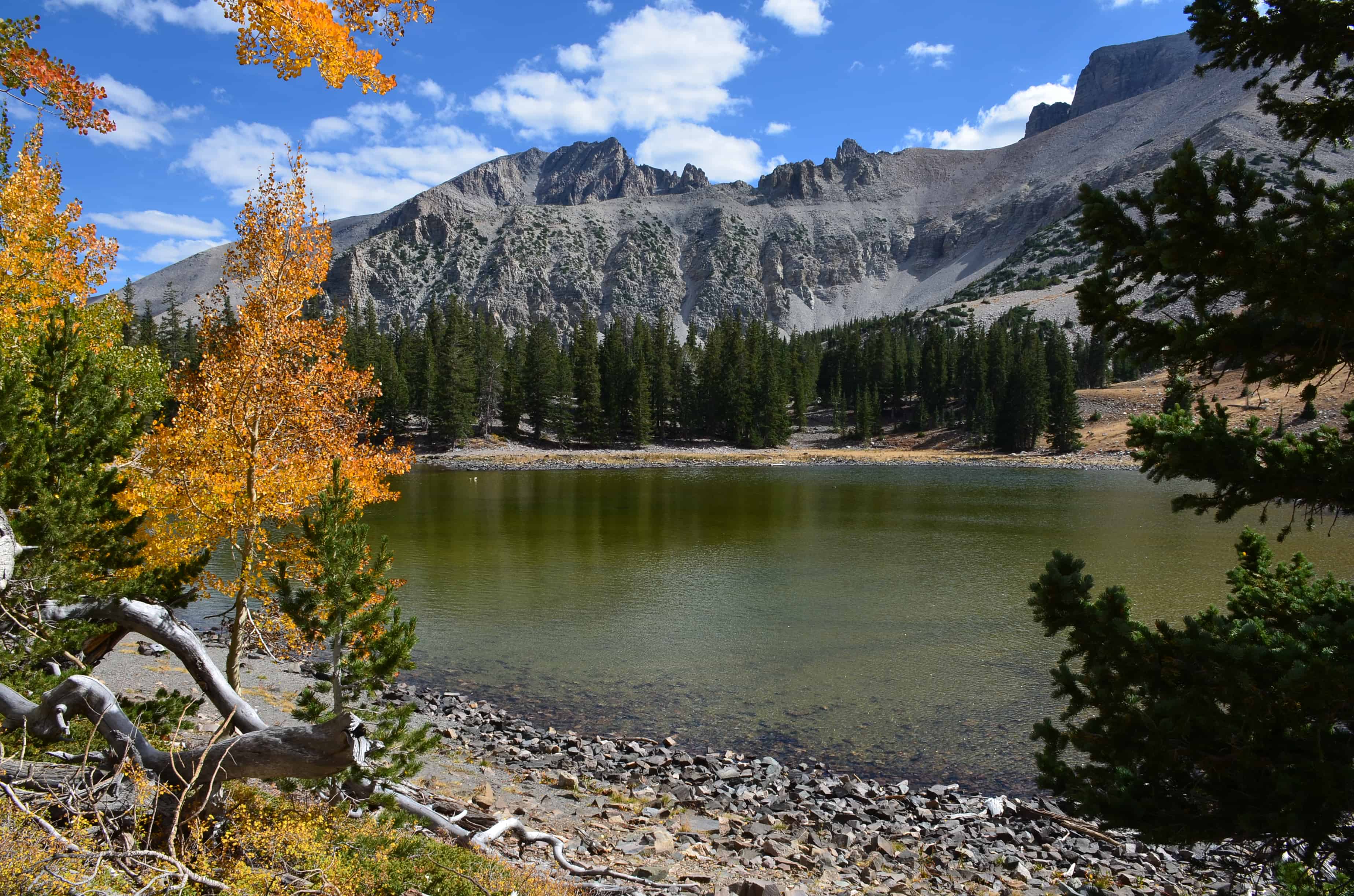 Alpine Lakes Loop Trail Great Basin National Park Nomadic Niko   Dsc 9580 