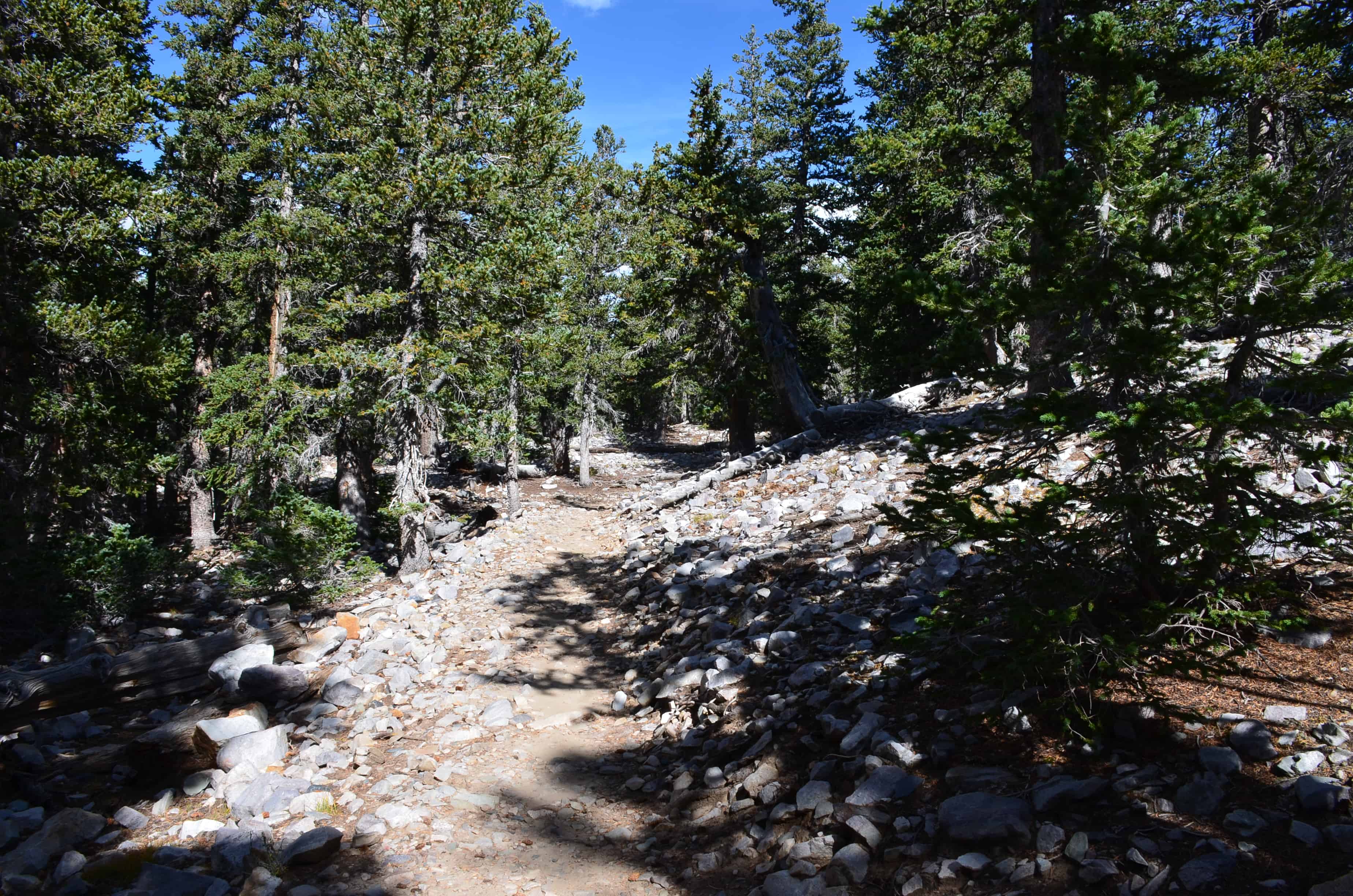 Alpine Lakes Loop Trail at Great Basin National Park, Nevada