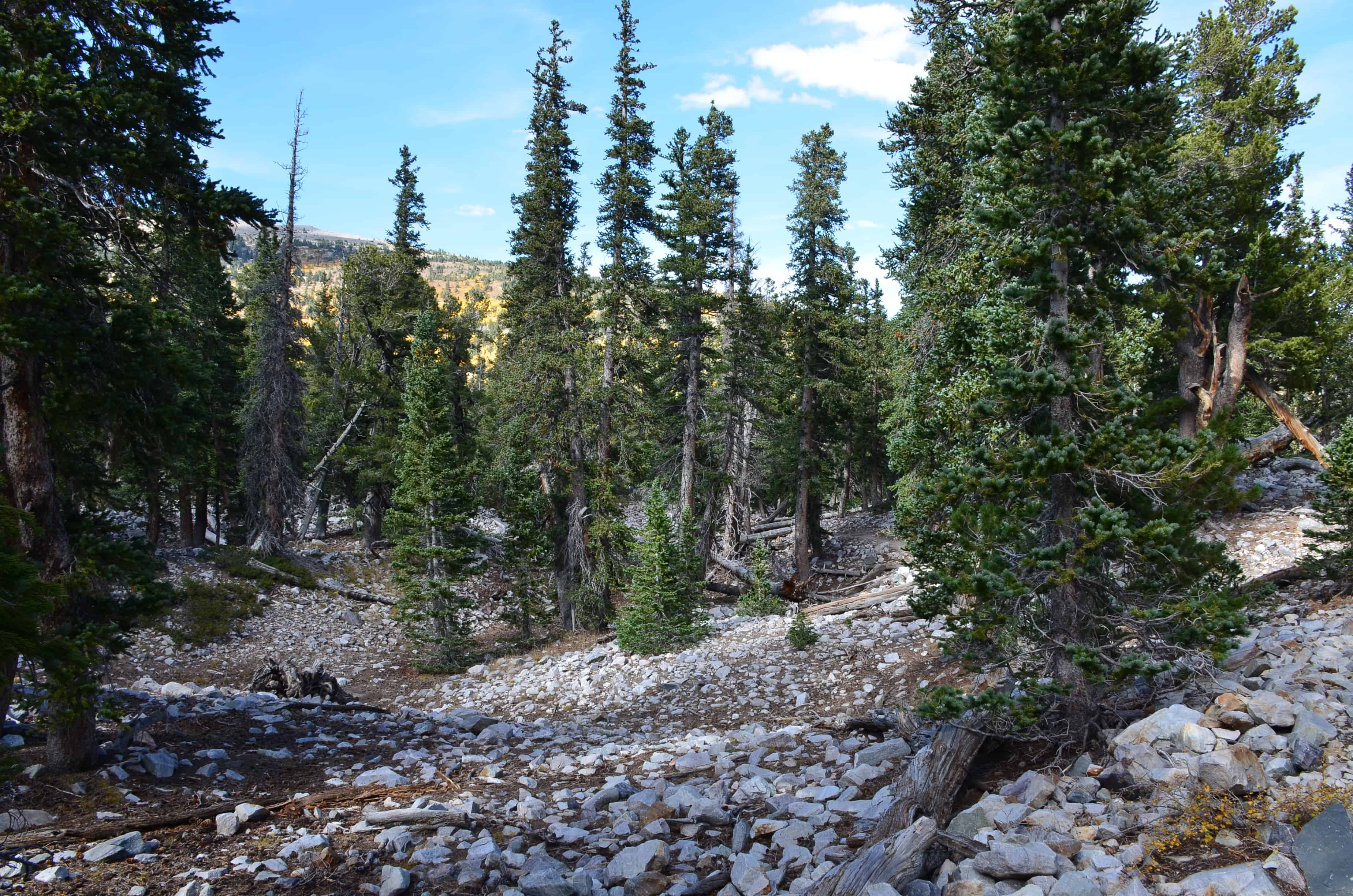 Alpine Lakes Loop Trail at Great Basin National Park, Nevada