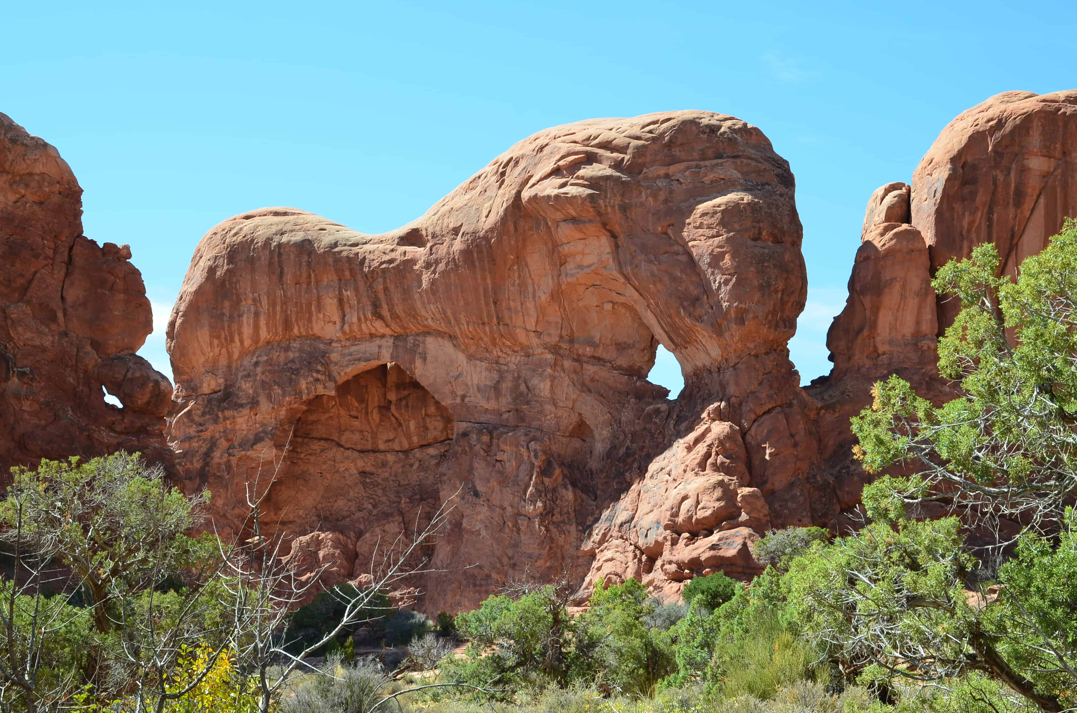 Parade of Elephants at the Windows Section at Arches National Park in Utah