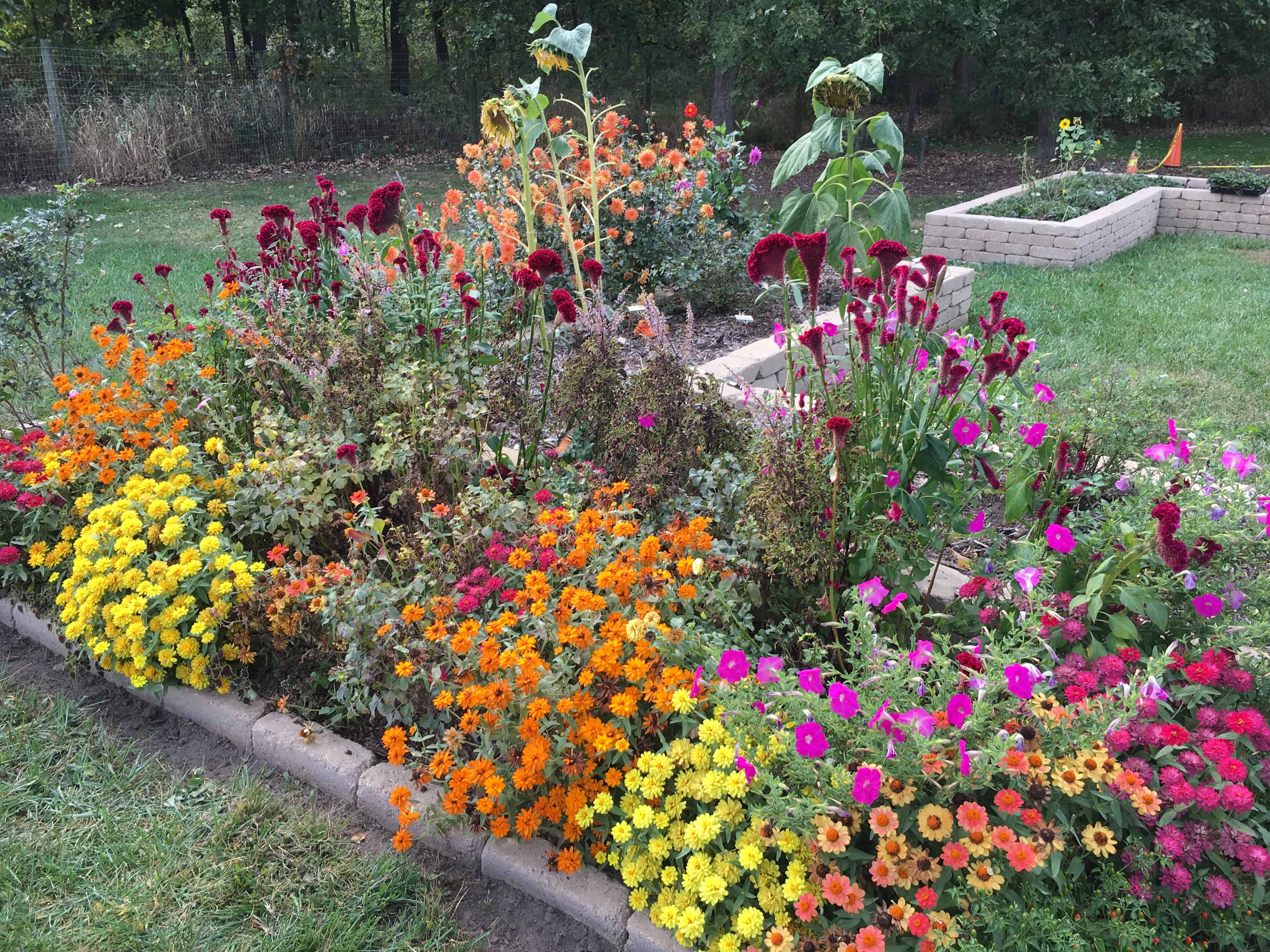 Rose Garden at Gabis Arboretum in Valparaiso, Indiana
