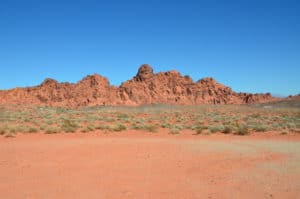 View from Lone Rock at Valley of Fire State Park in Nevada