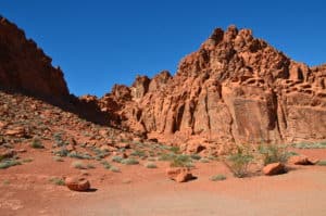 View from Lone Rock at Valley of Fire State Park in Nevada