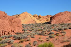 Rainbow Vista Trail at Valley of Fire State Park in Nevada
