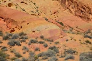 Colorful sandstone on the Rainbow Vista Trail at Valley of Fire State Park in Nevada