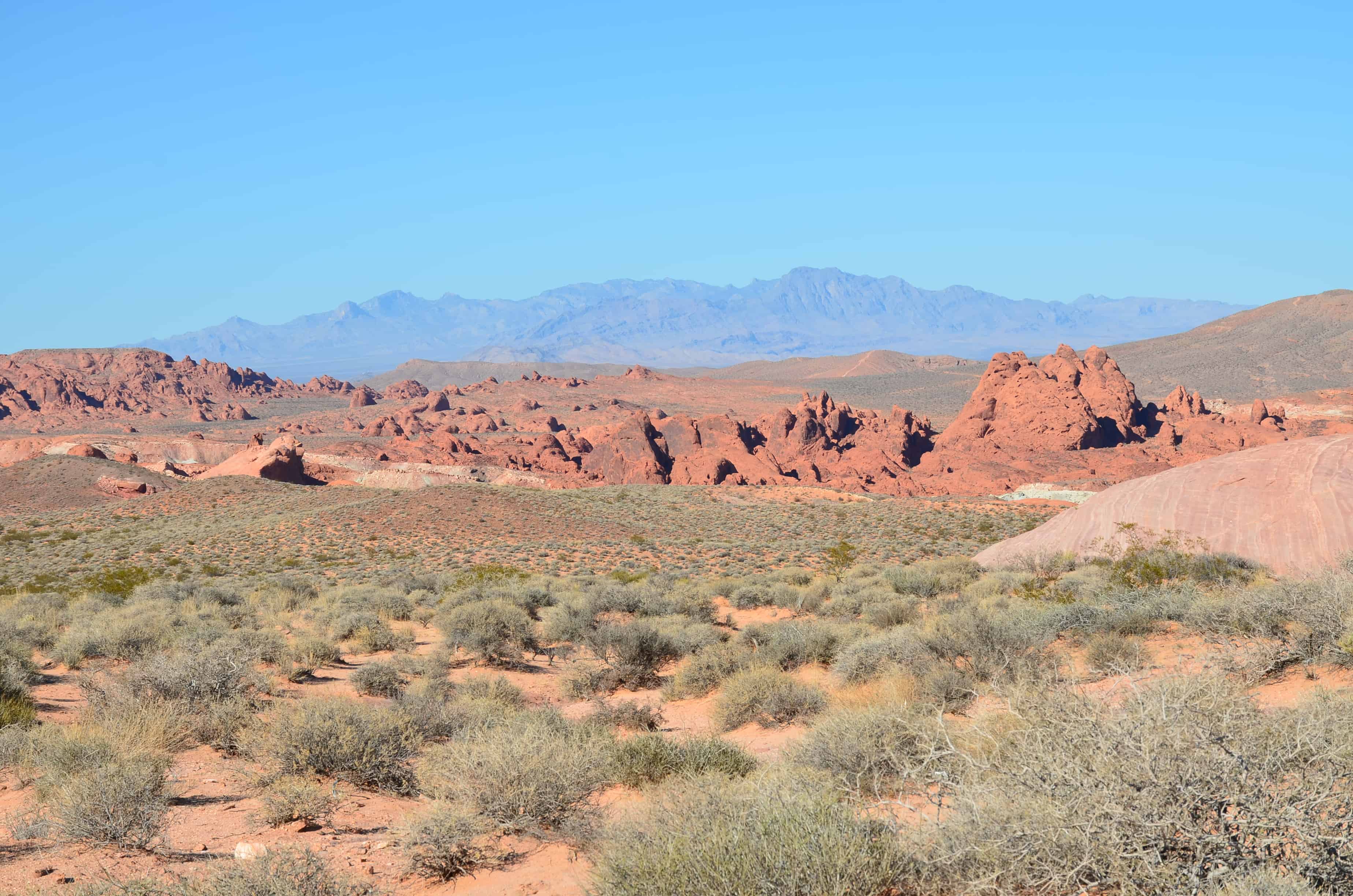 Desert landscape at Valley of Fire State Park in Nevada