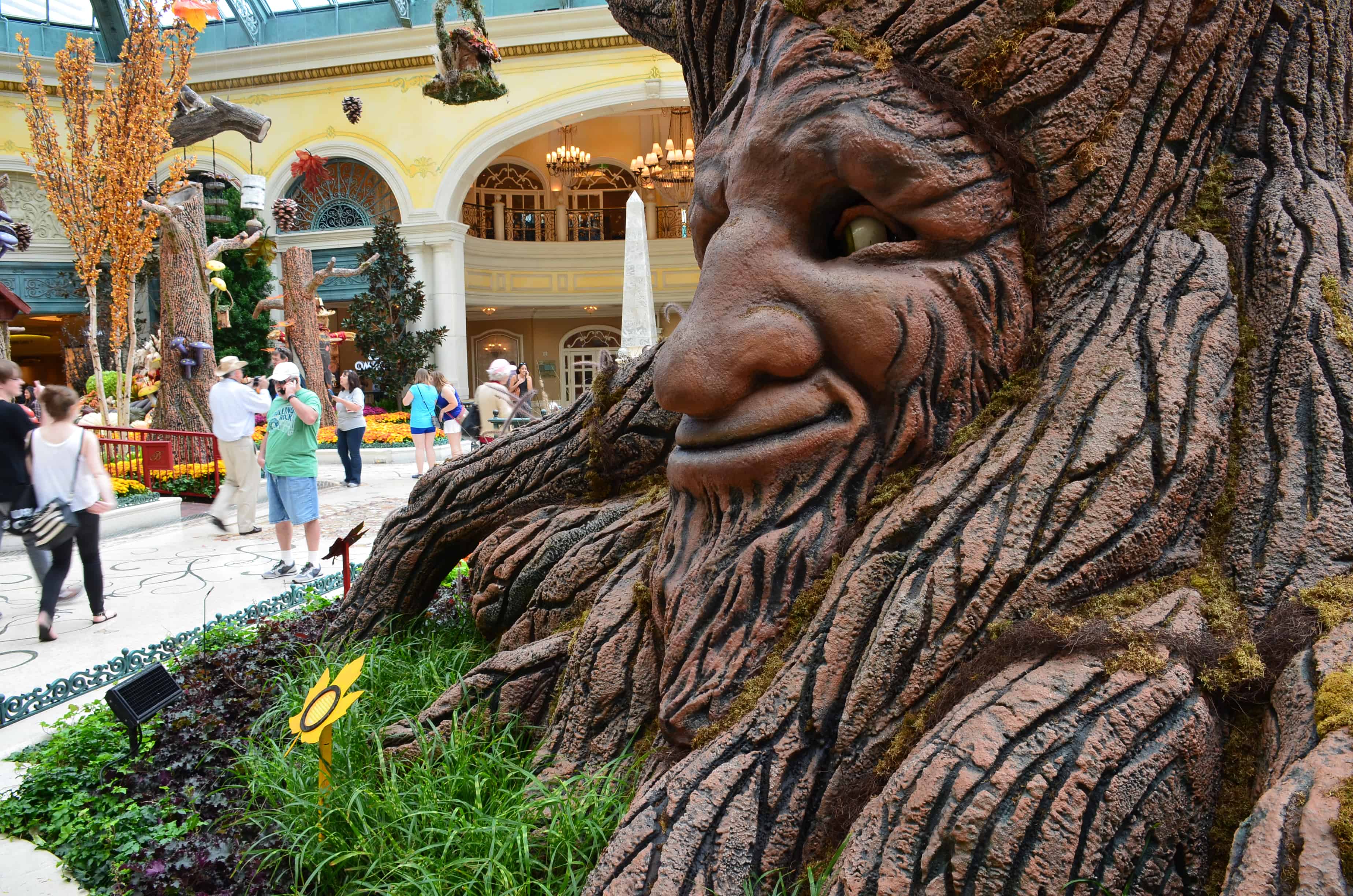 A tree at the Conservatory and Botanical Gardens at the Bellagio in Las Vegas, Nevada
