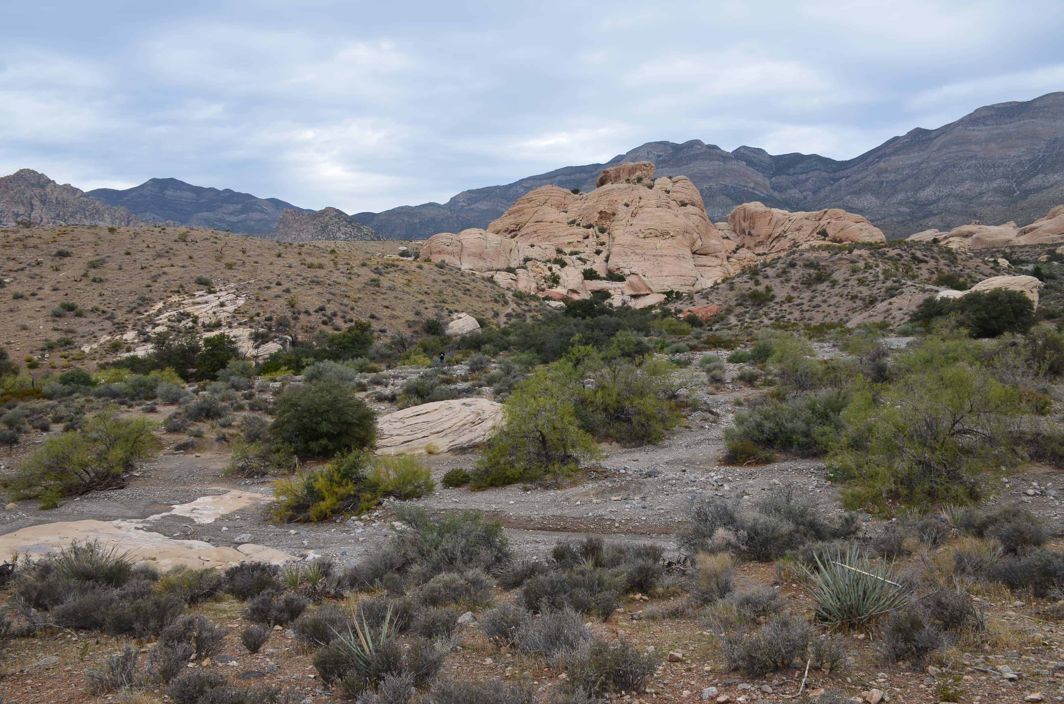 Sandstone Quarry at Red Rock Canyon National Conservation Area in Nevada