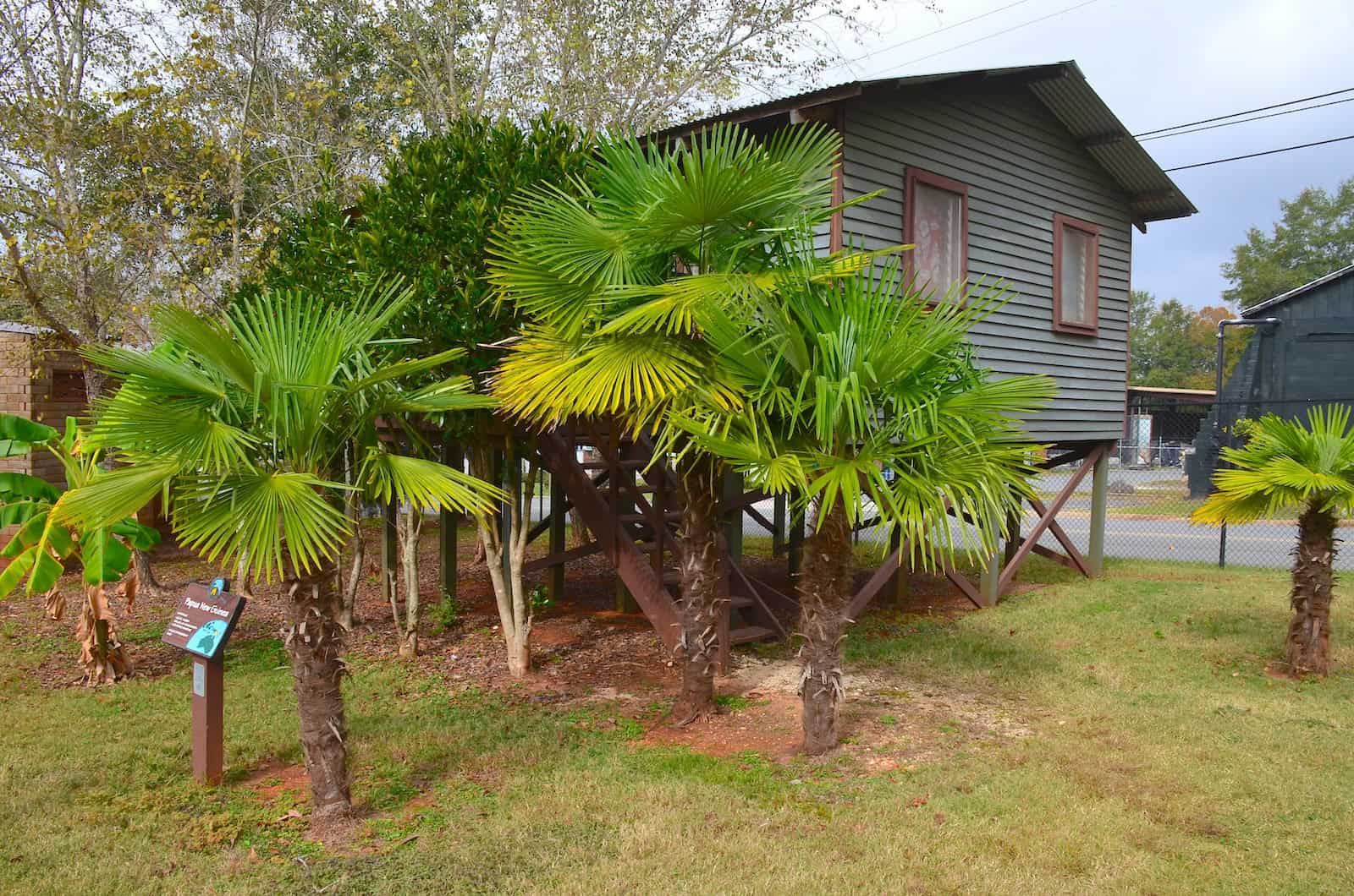 Papua New Guinea at Habitat for Humanity Global Village in Americus, Georgia