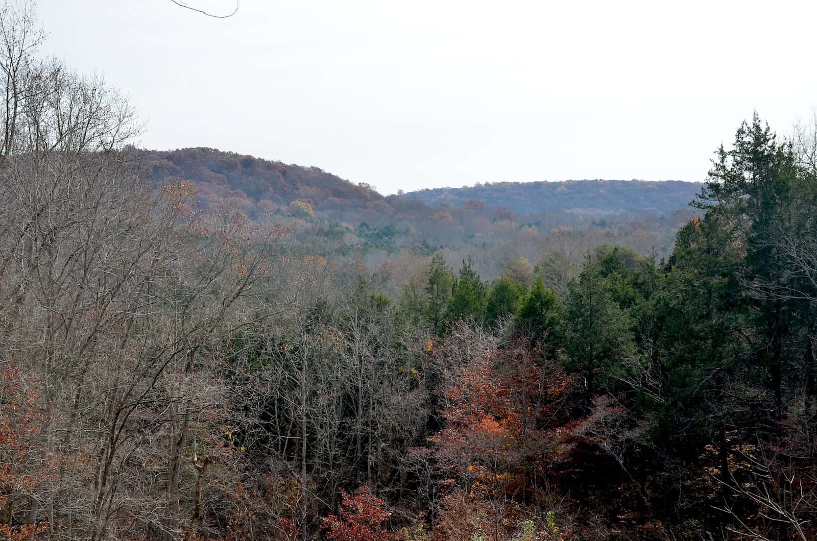 Doyal Valley Overlook