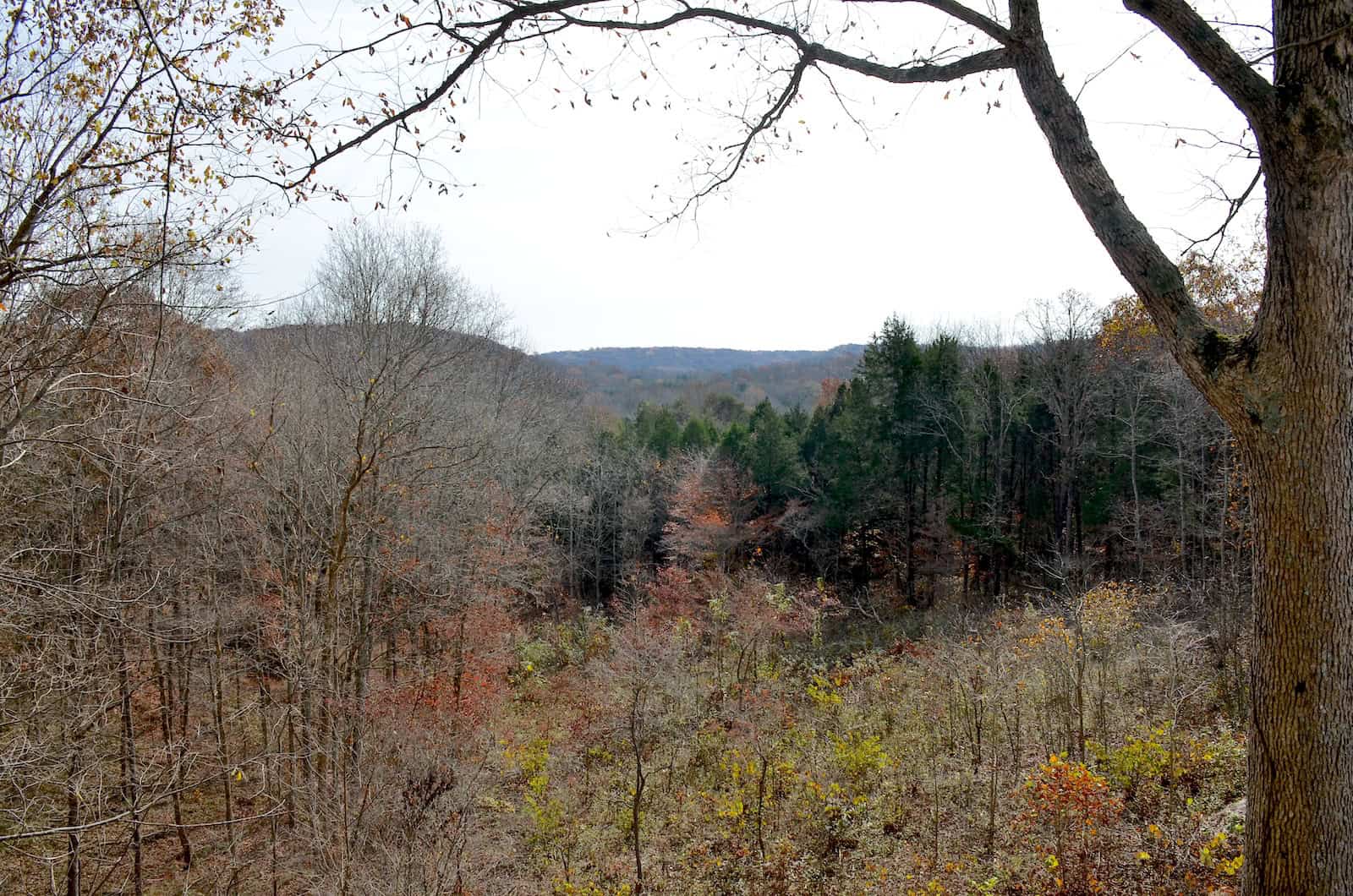 Doyal Valley Overlook