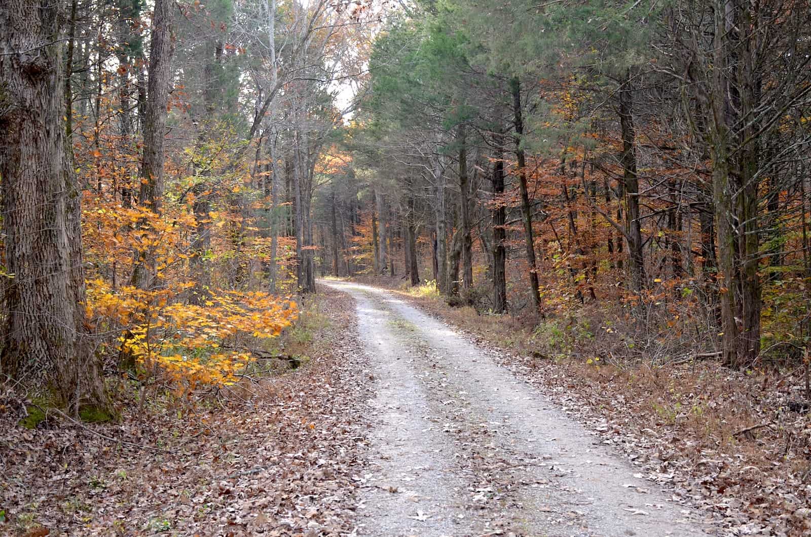 Joppa Ridge Road at Mammoth Cave National Park in Kentucky