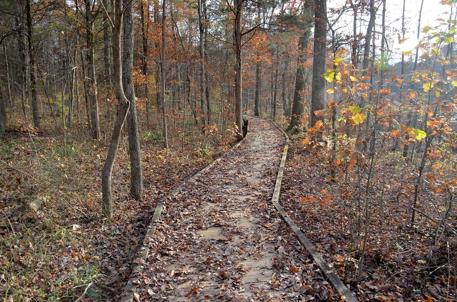 Sloans Crossing Pond Trail at Mammoth Cave National Park in Kentucky