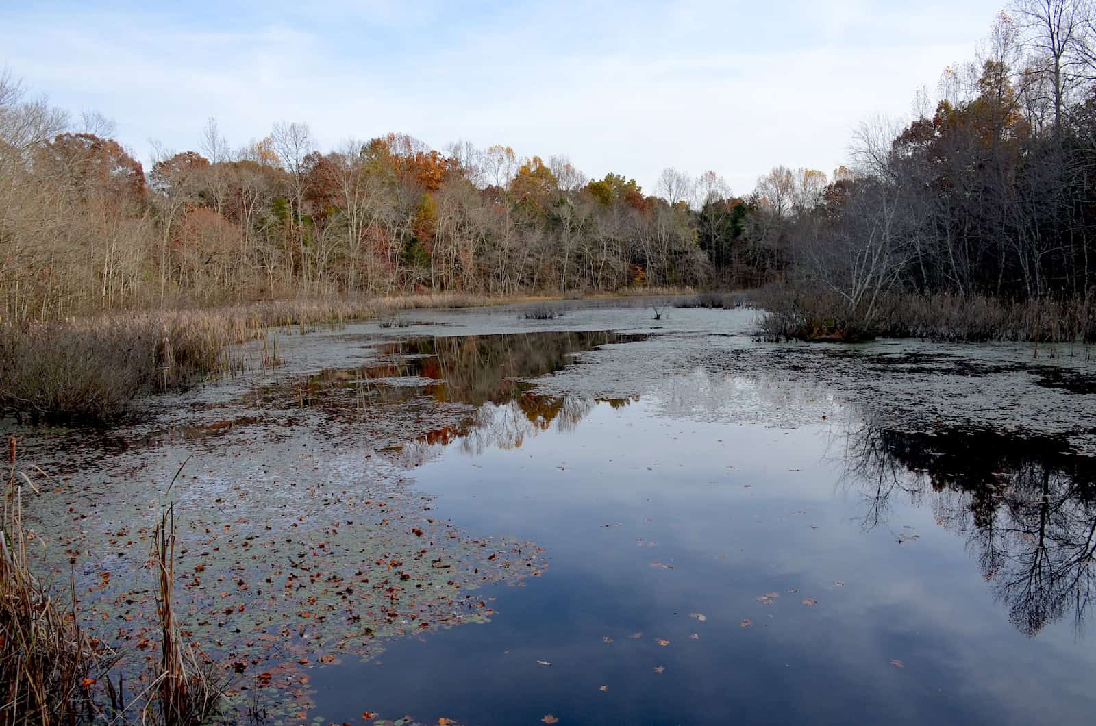 Sloans Crossing Pond at Mammoth Cave National Park in Kentucky