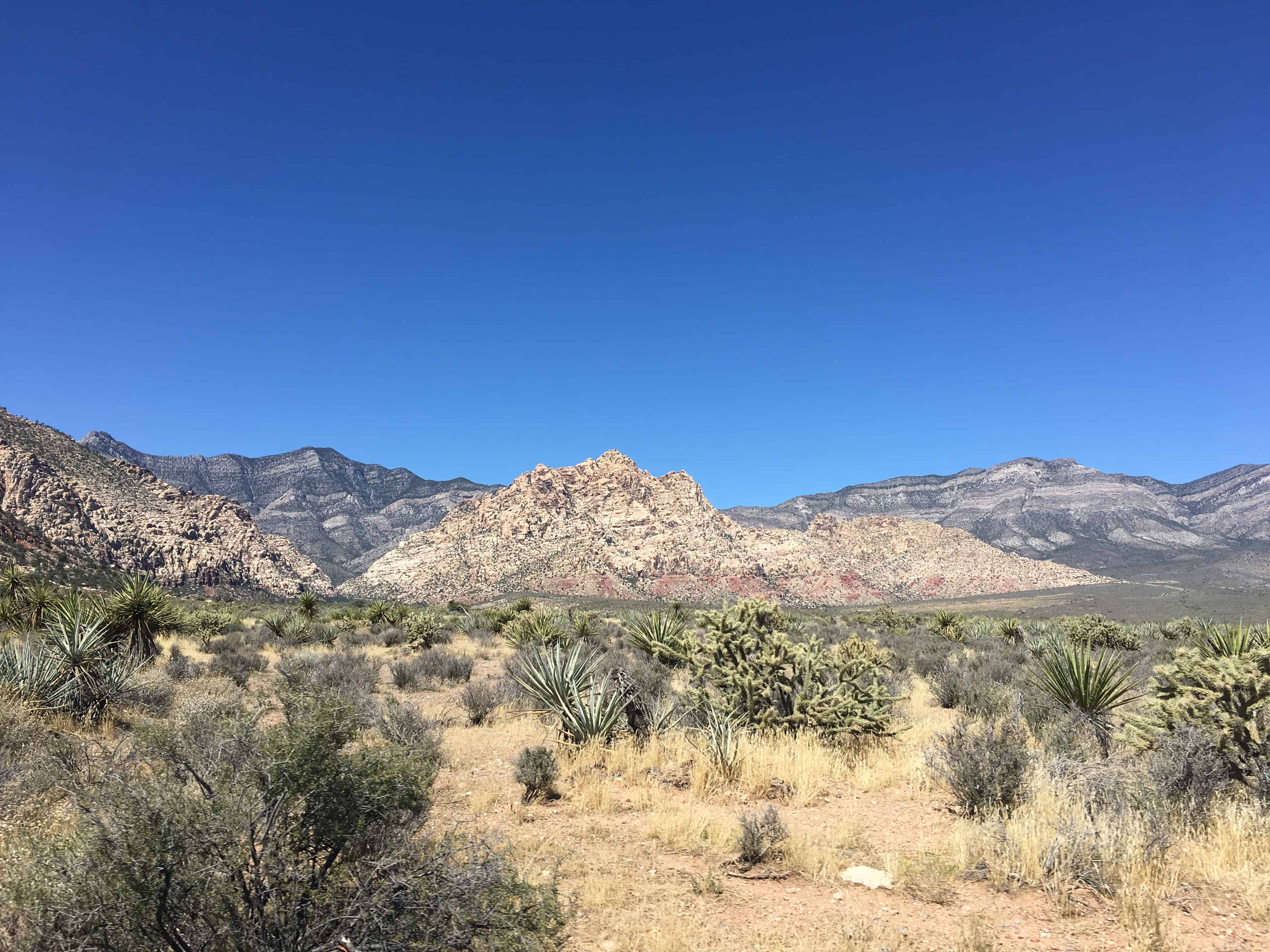 Willow Springs Loop at Red Rock Canyon National Conservation Area in Nevada