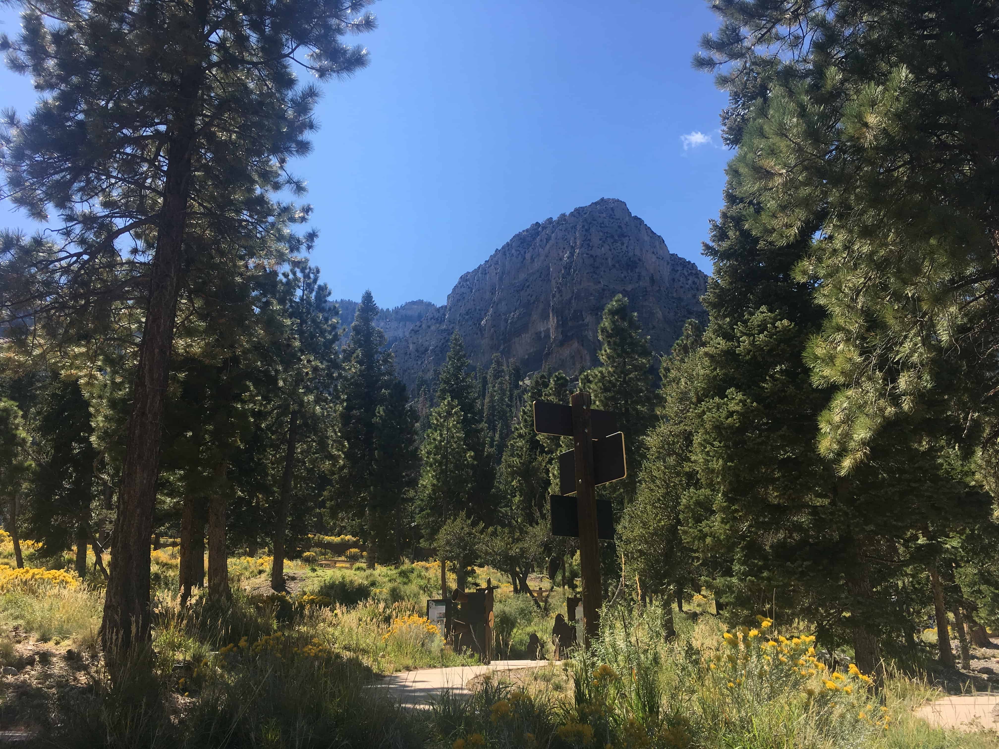 Cathedral Rock at Cathedral Rock Picnic Area in Mount Charleston, Nevada