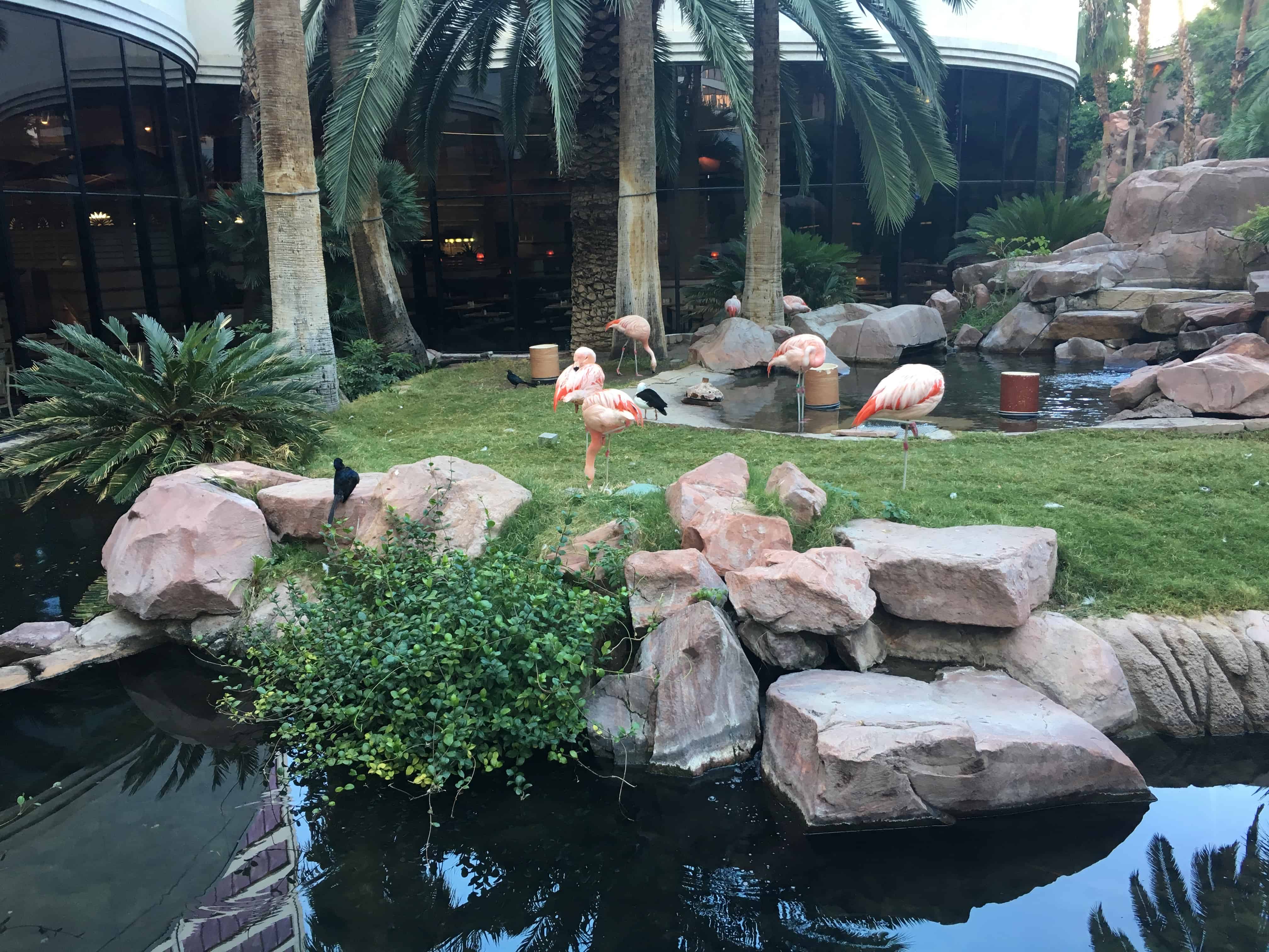 Wildlife habitat at The Flamingo in Las Vegas, Nevada