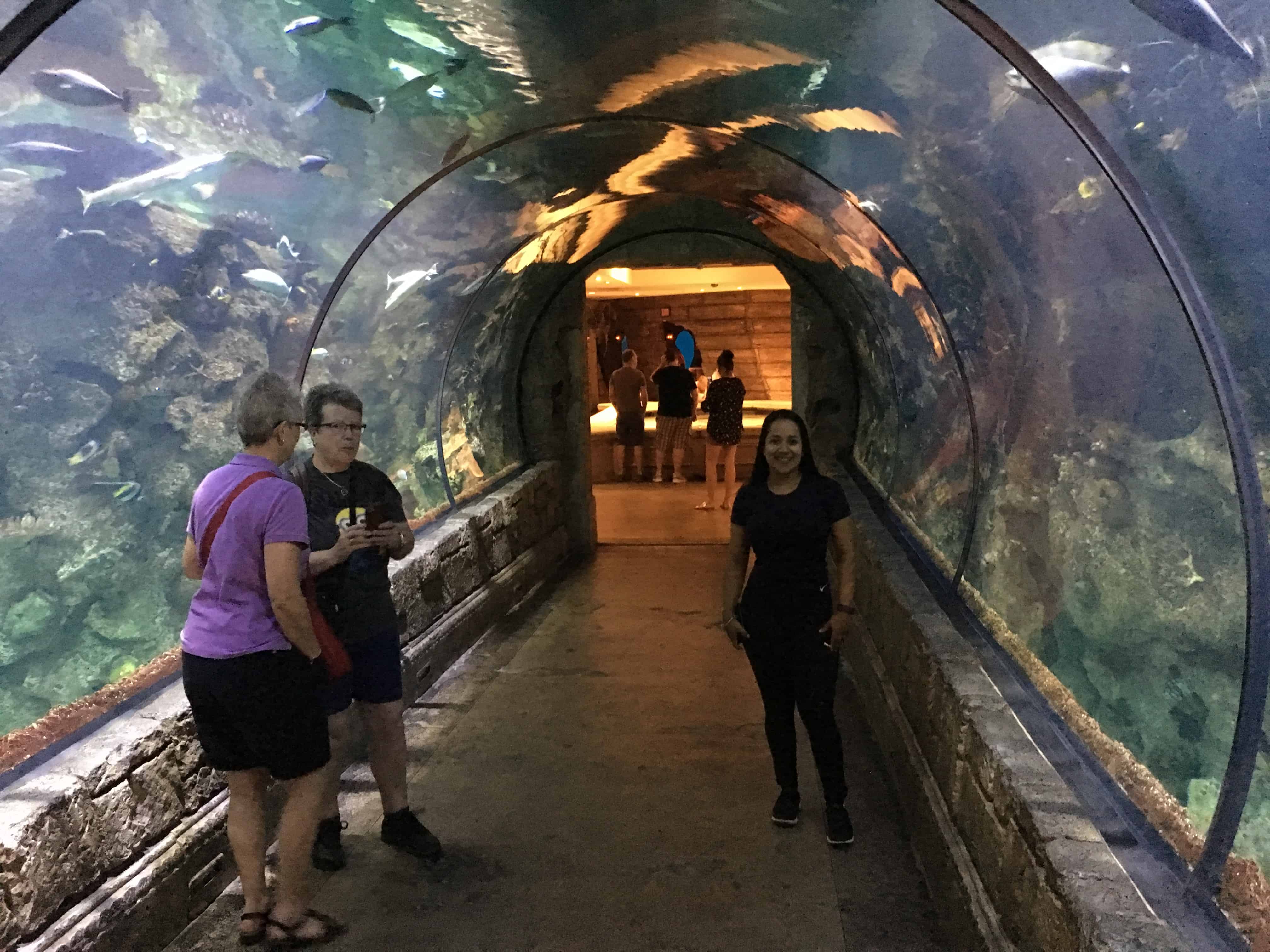 Tunnel at Shark Reef Aquarium at Mandalay Bay, Las Vegas, Nevada
