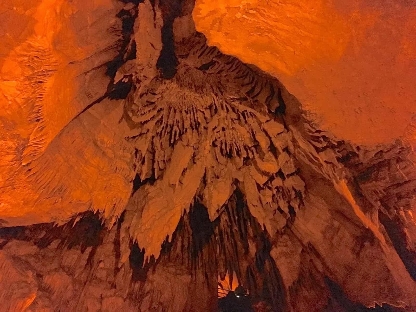 Looking up at some cave formations on the Domes and Dripstones tour at Mammoth Cave National Park in Kentucky