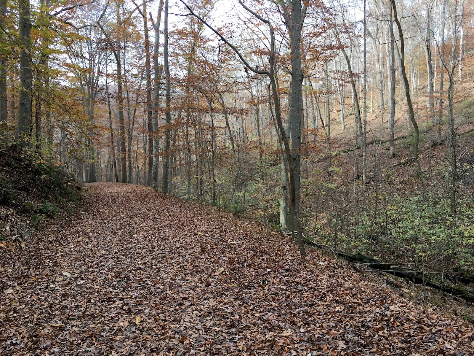 River Styx Spring Trail at Mammoth Cave National Park in Kentucky